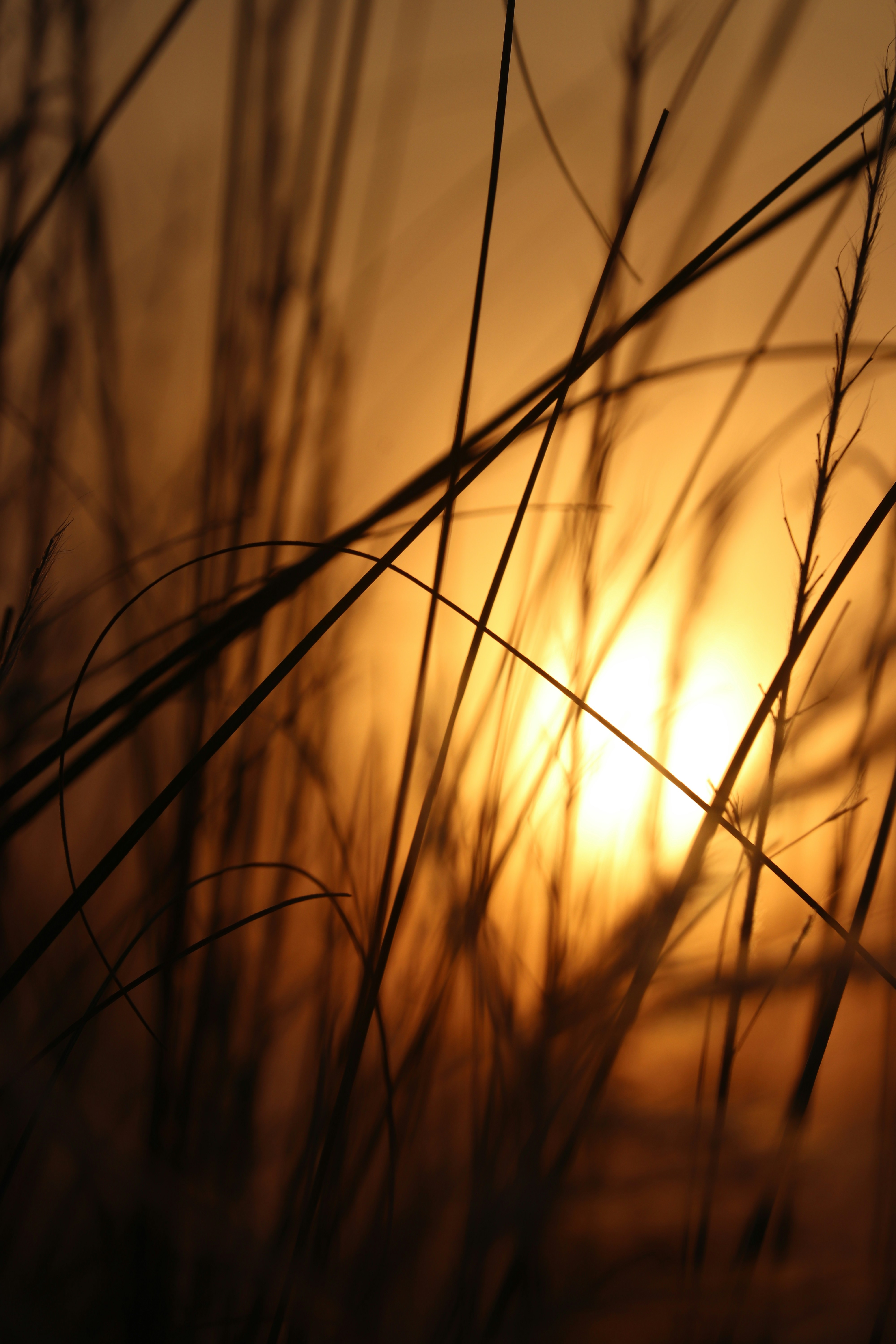 Photo by __chandra__mouli__