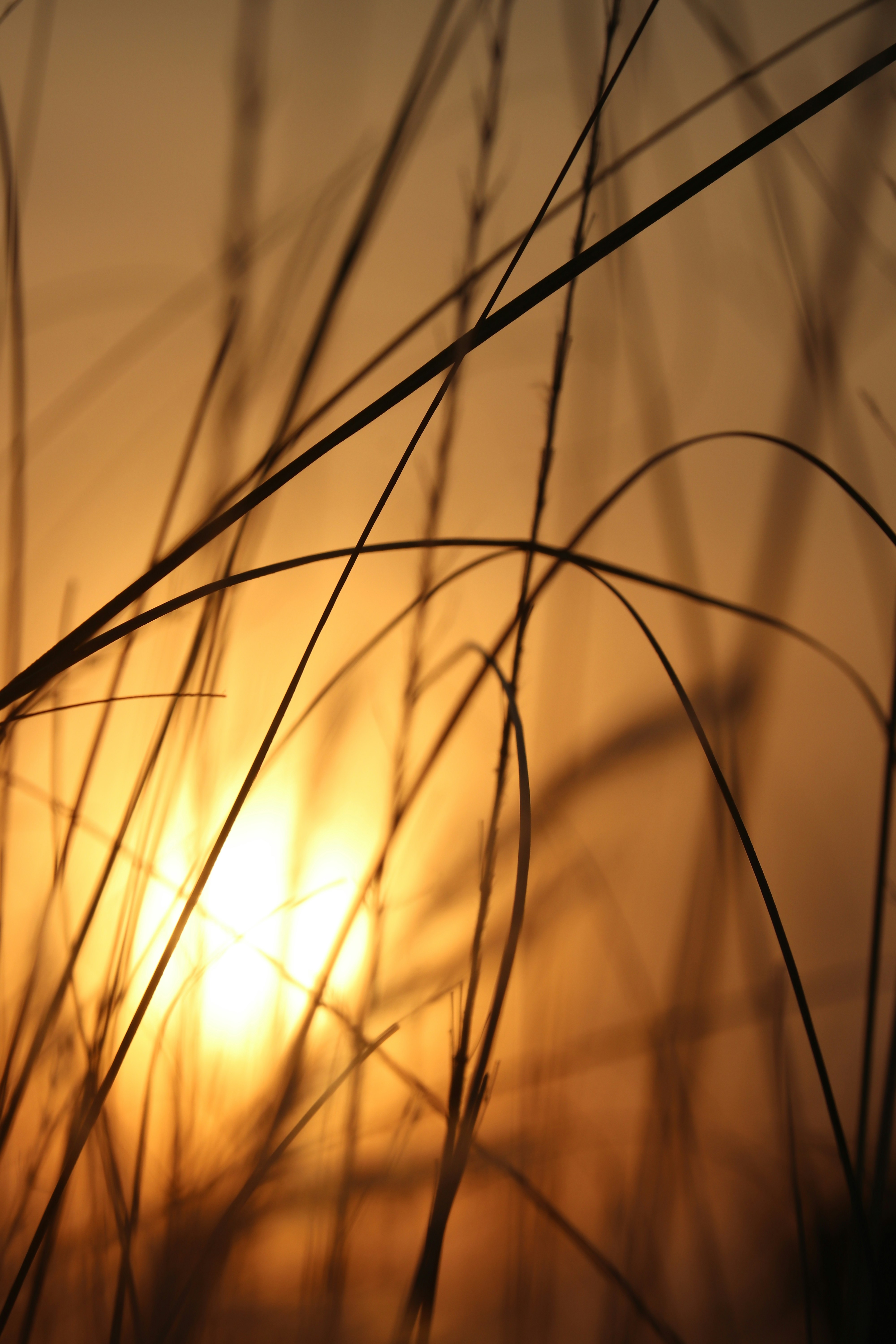 Photo by __chandra__mouli__