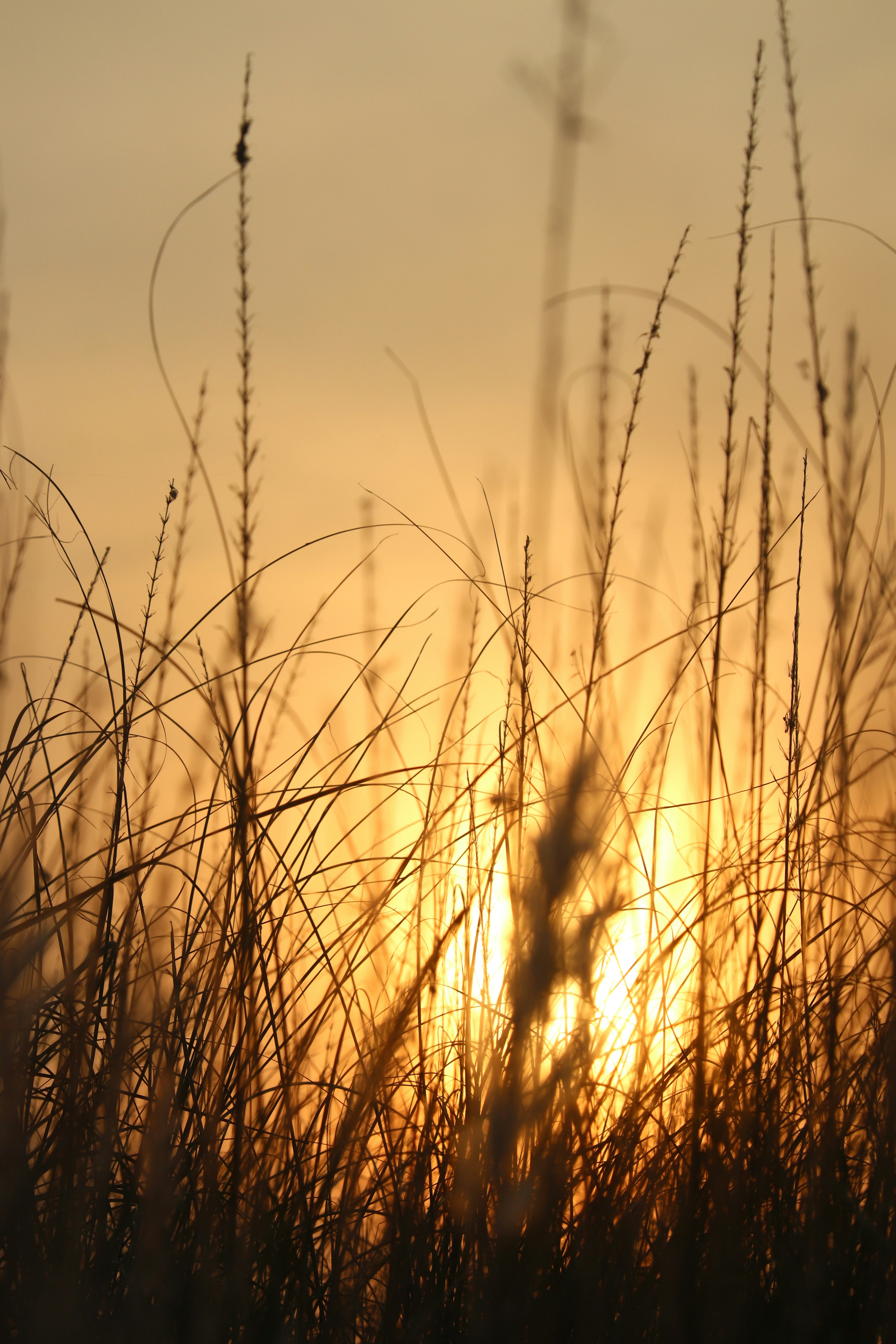 Photo by __chandra__mouli__