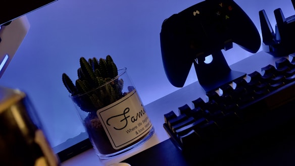 A gaming setup with a backlit keyboard in the foreground and a game controller mounted on a stand in the background. A potted cactus with a label is placed beside the keyboard. The scene is illuminated with a soft blue light, creating a relaxed atmosphere.