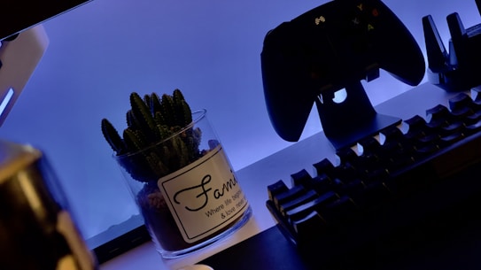 A gaming setup with a backlit keyboard in the foreground and a game controller mounted on a stand in the background. A potted cactus with a label is placed beside the keyboard. The scene is illuminated with a soft blue light, creating a relaxed atmosphere.