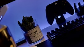 A gaming setup with a backlit keyboard in the foreground and a game controller mounted on a stand in the background. A potted cactus with a label is placed beside the keyboard. The scene is illuminated with a soft blue light, creating a relaxed atmosphere.
