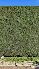 background pattern