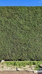 background pattern