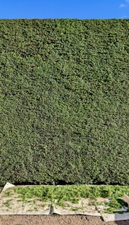 background pattern