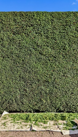 background pattern