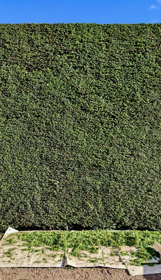 Precision hedge trimming