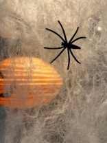 A silhouetted spider shape is positioned against a textured, cobweb-like background with warm, glowing light filtering through. The scene gives an impression of depth and mystery, with soft, intricate patterns woven throughout.