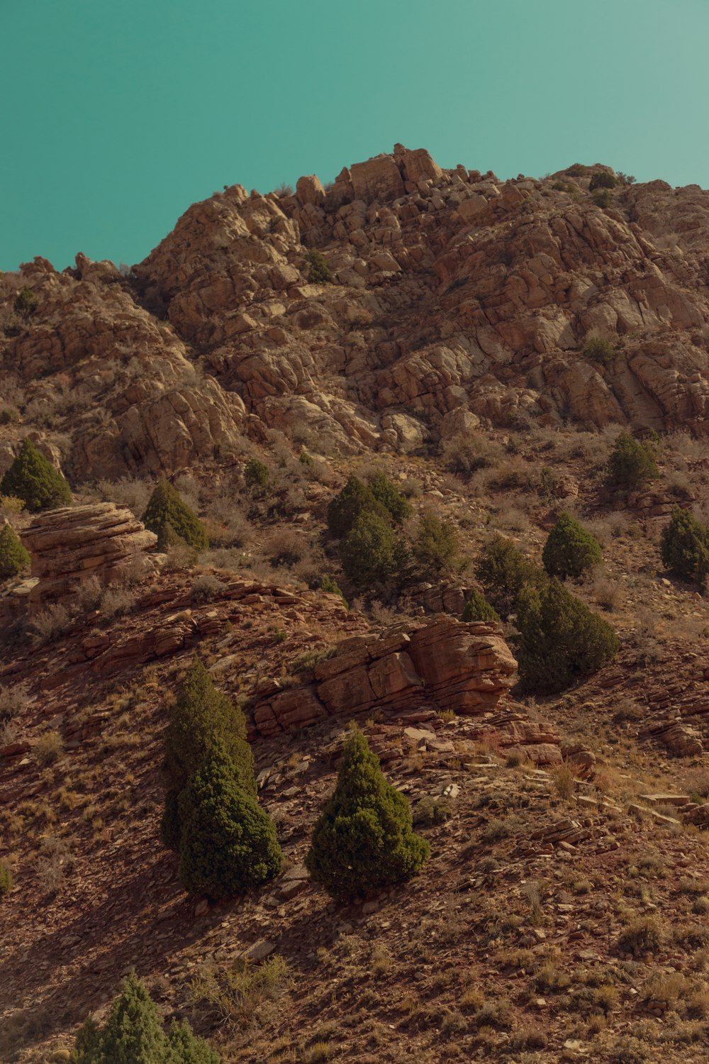 a rocky cliff with trees