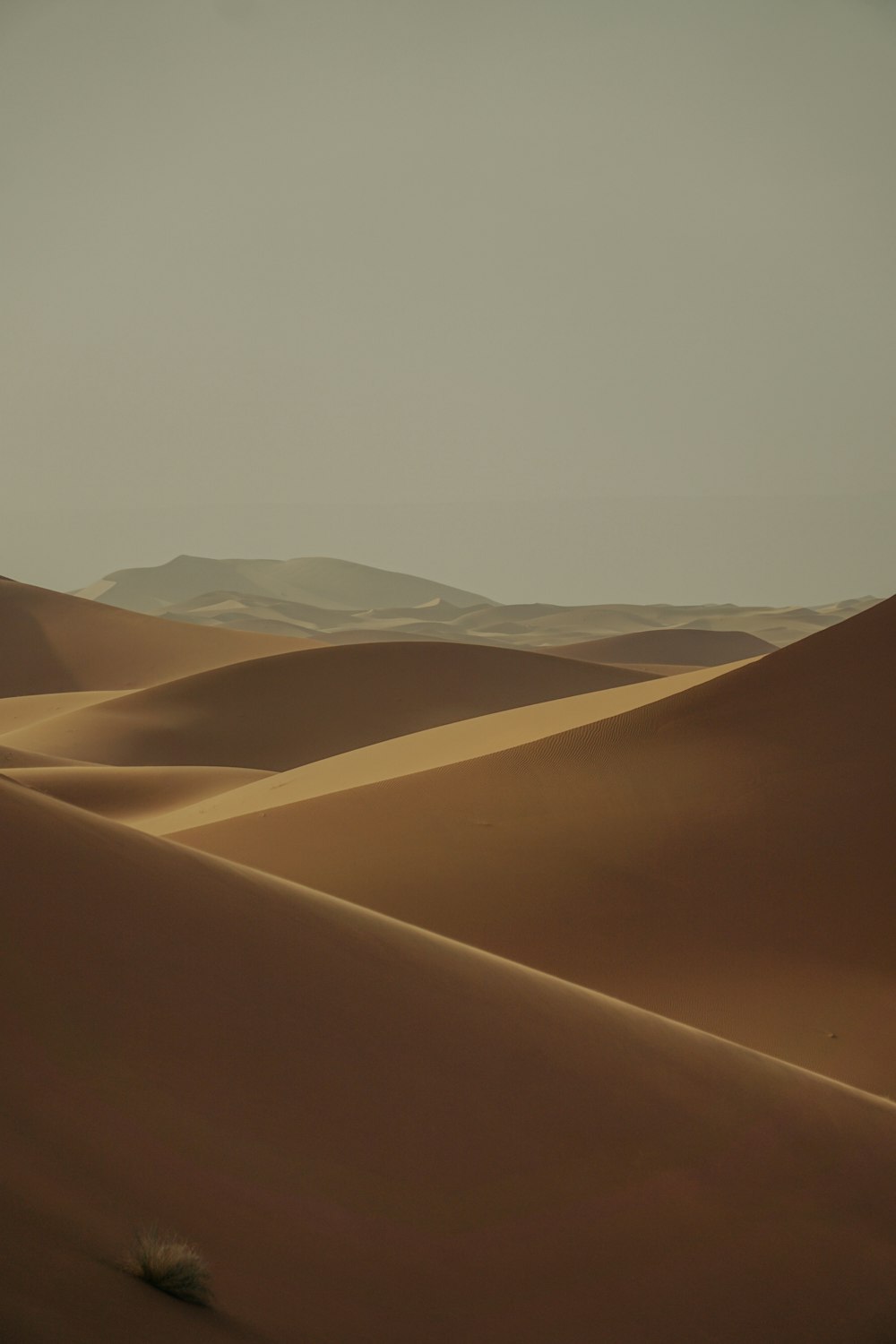 a desert landscape with sand dunes