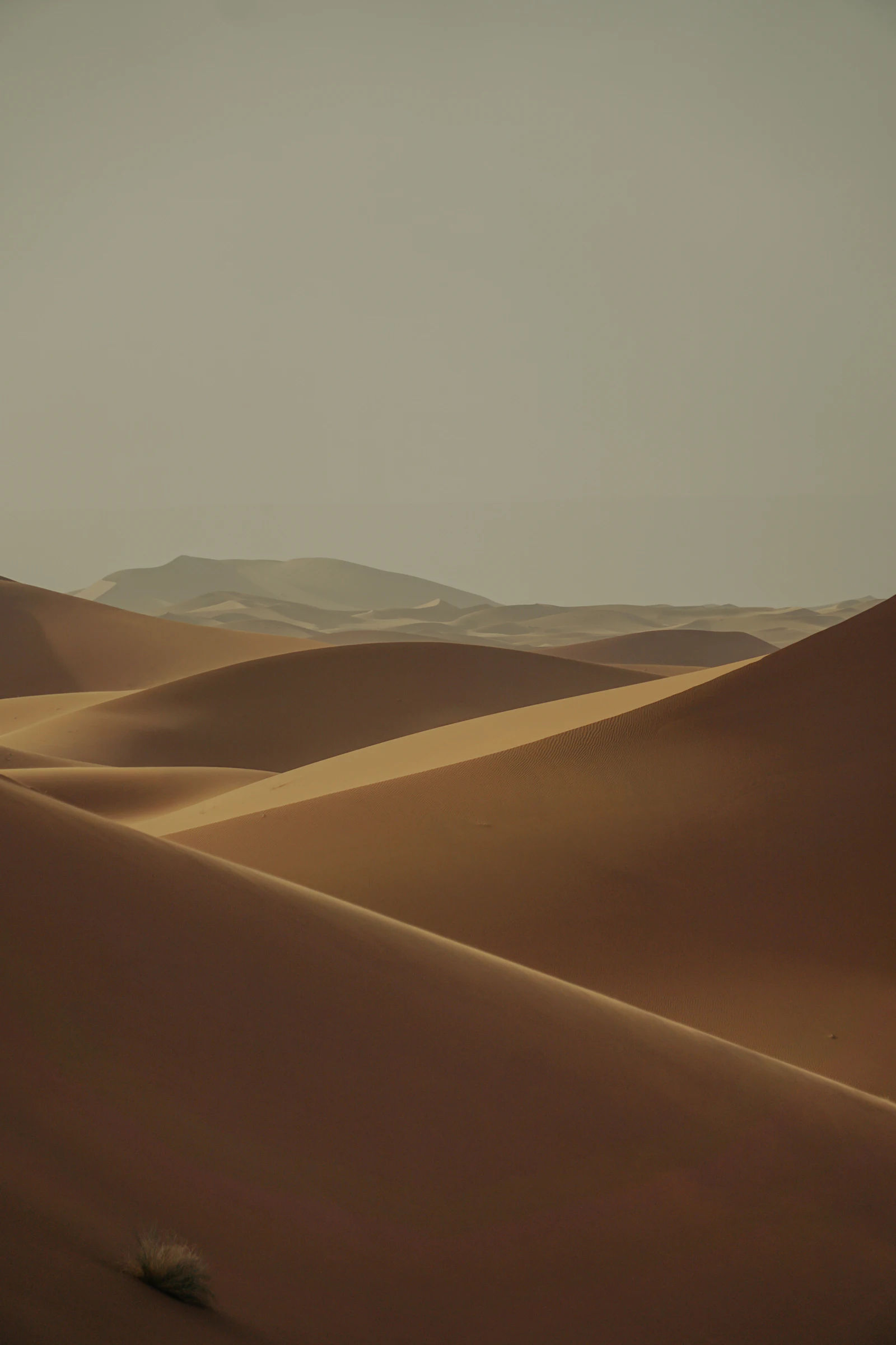 Erg Chebbi sand dunes