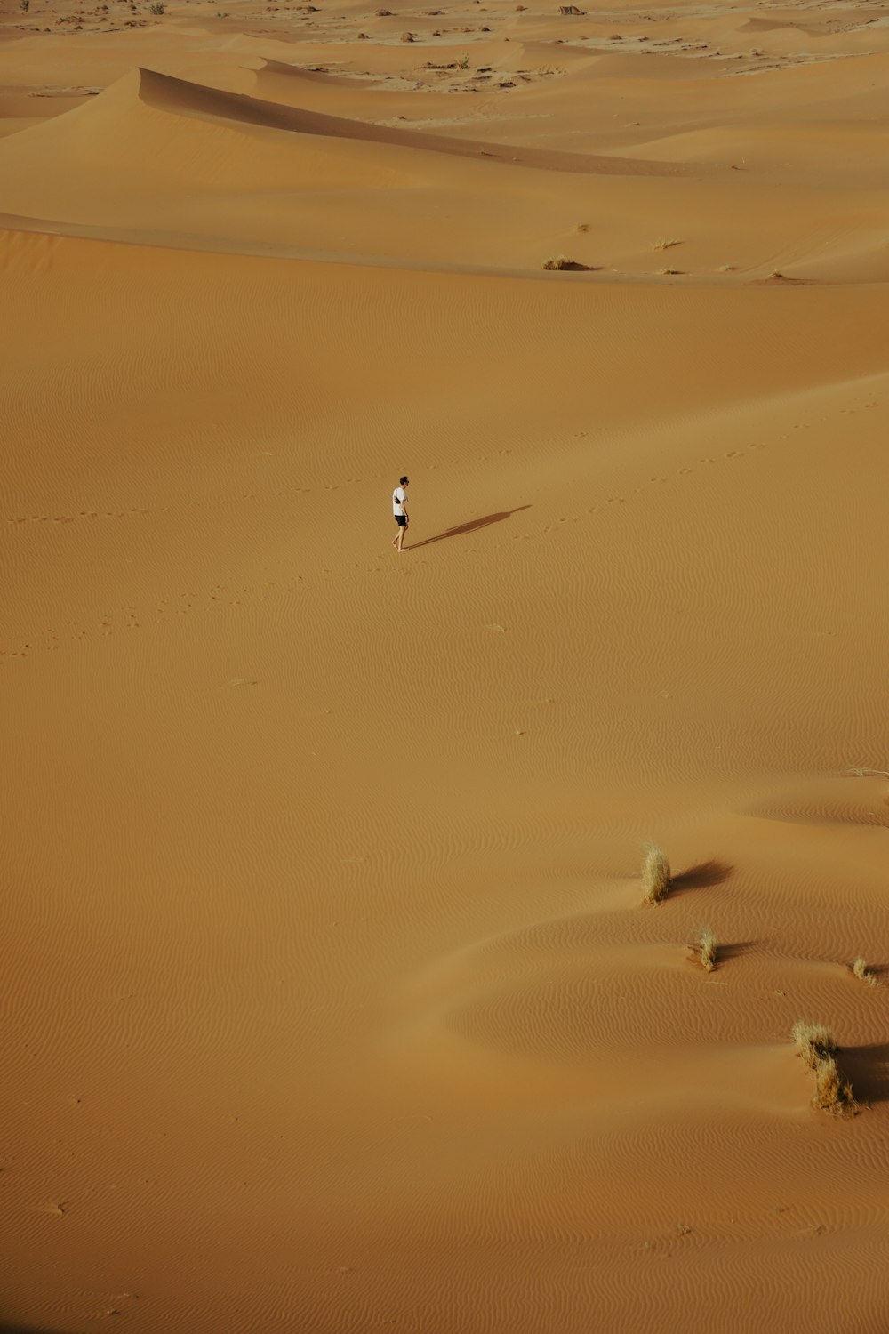 a person walking in the sand