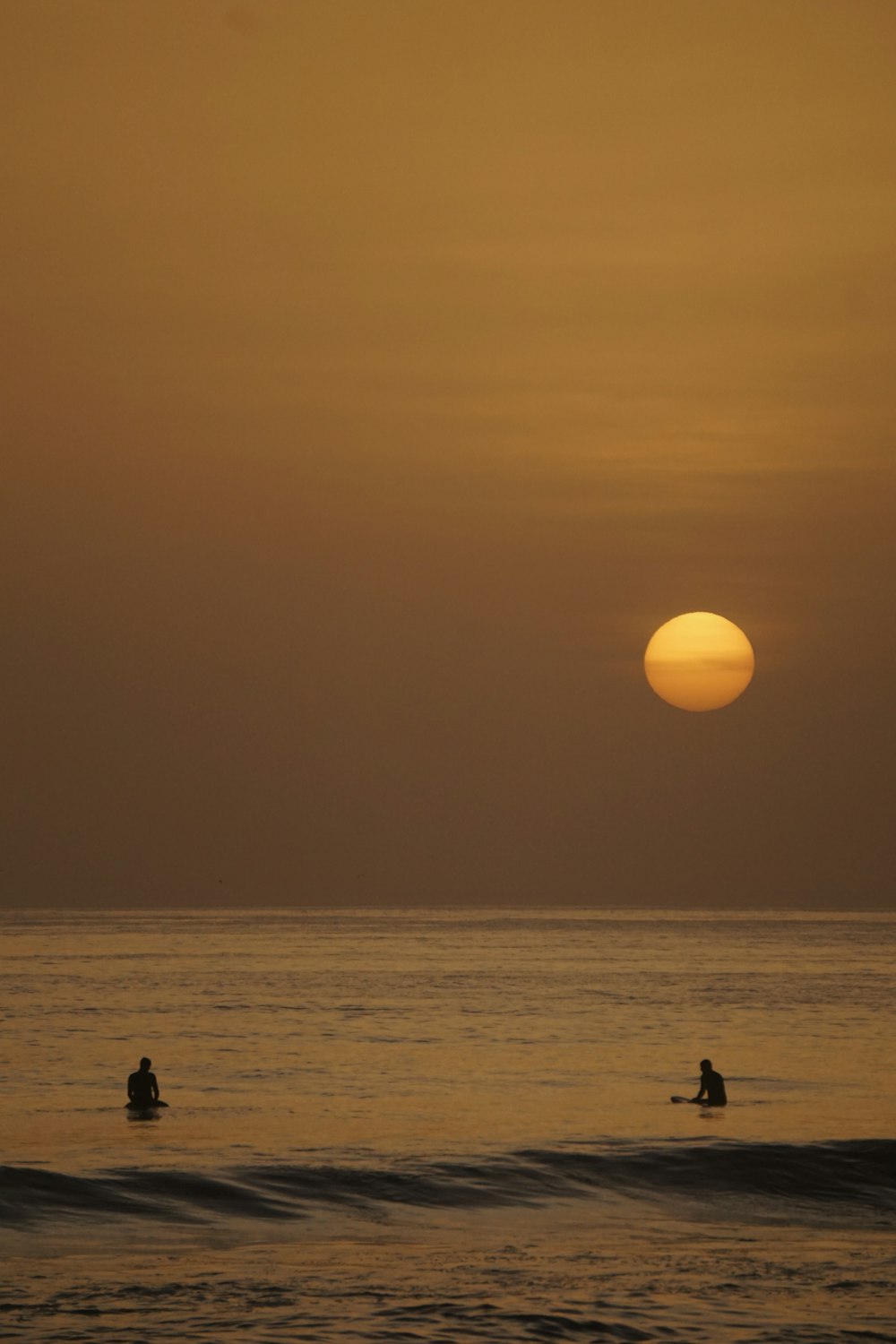 太陽を背景に水中にいるカップル
