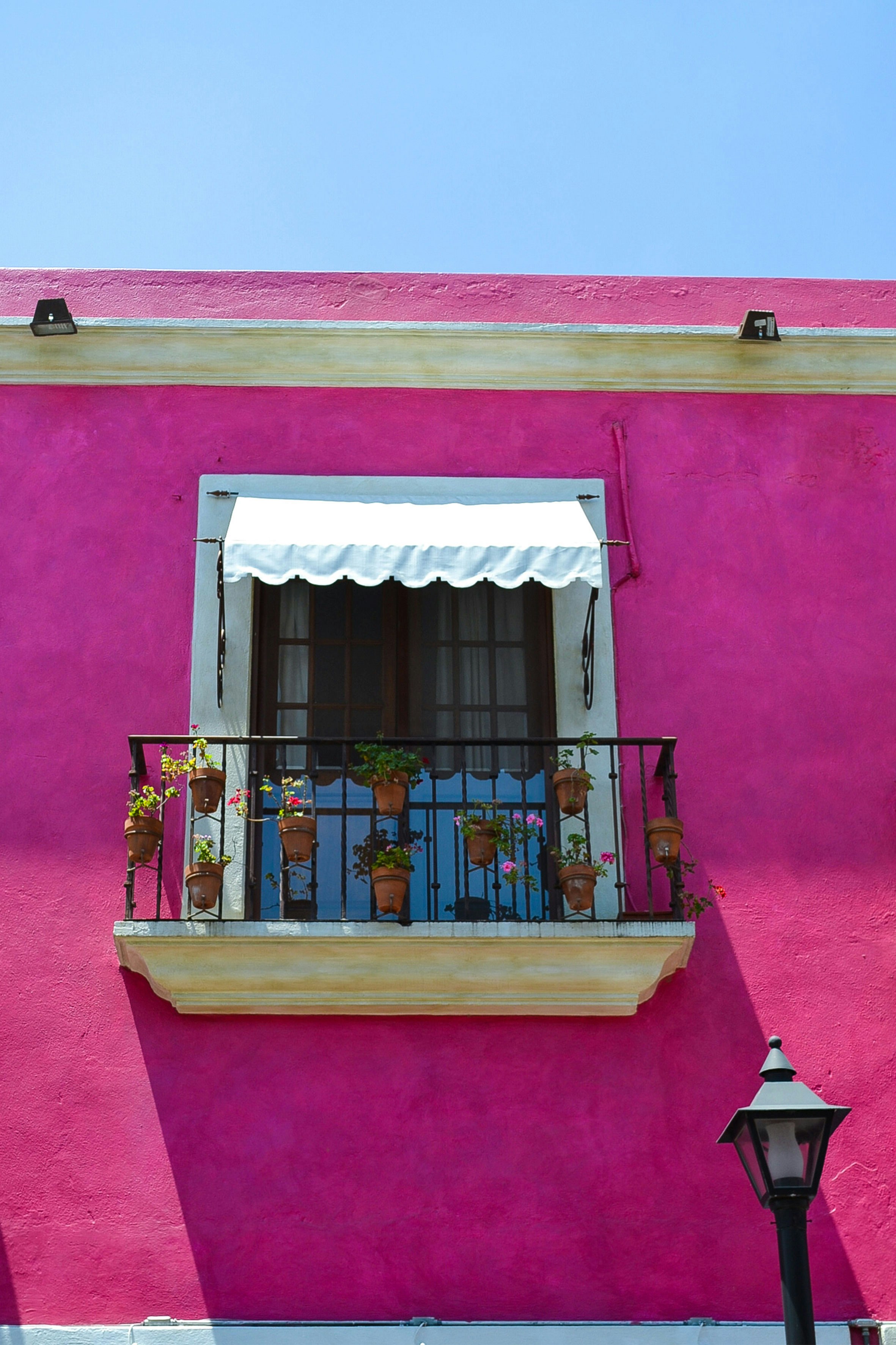 a window with a curtain and statues on it