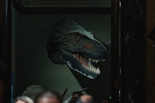 a person with a mask