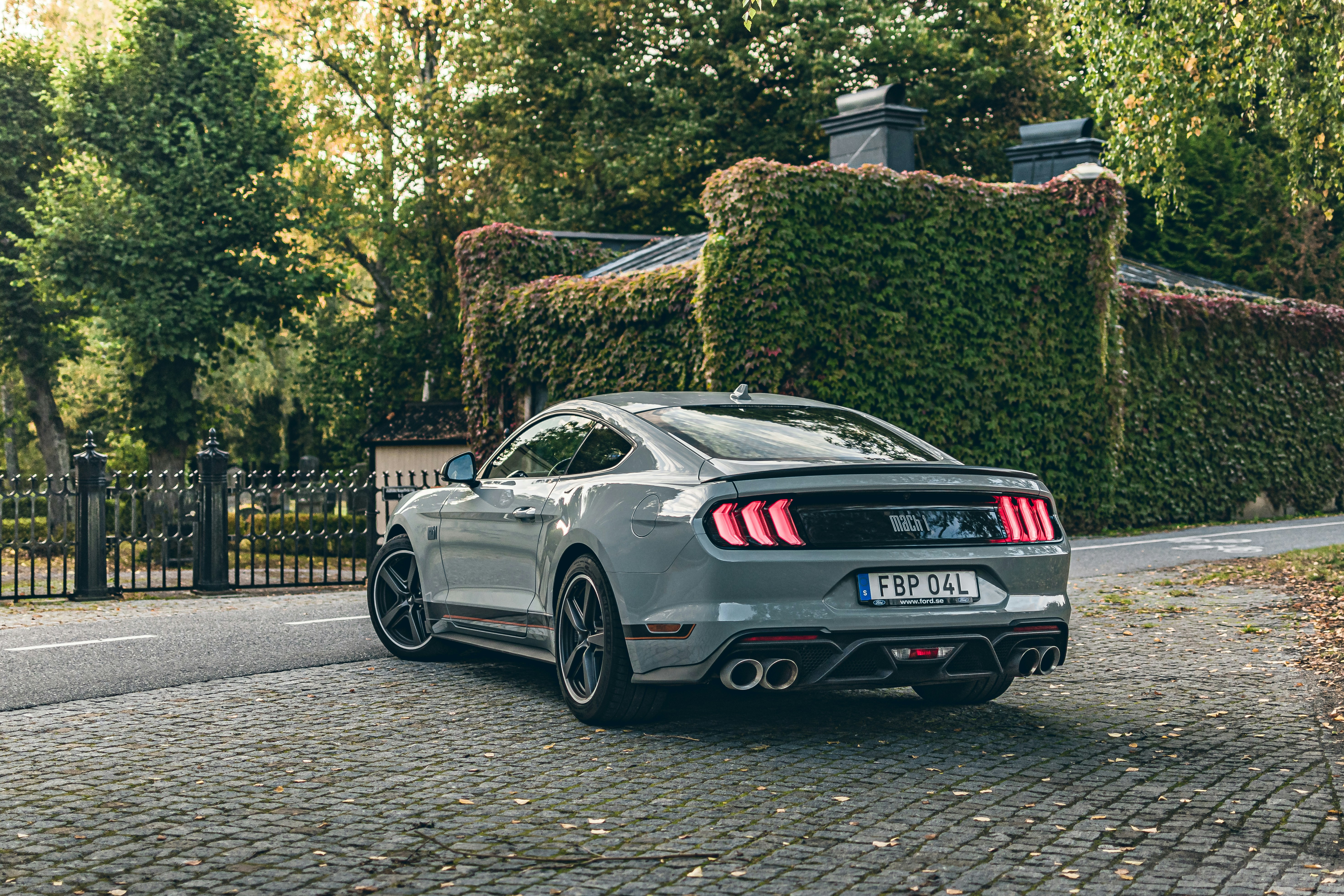 Photo by skold_anton