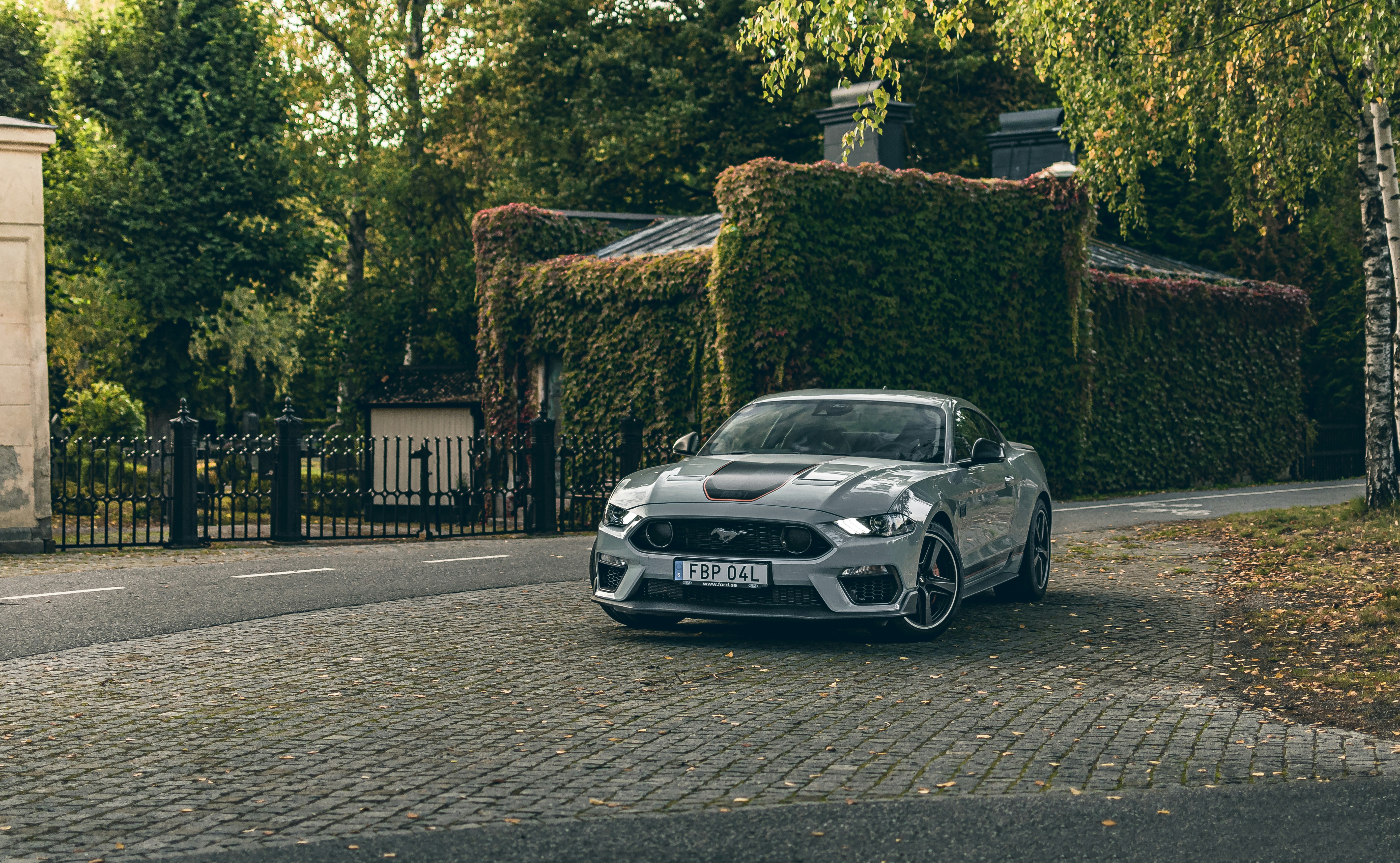 Photo by skold_anton