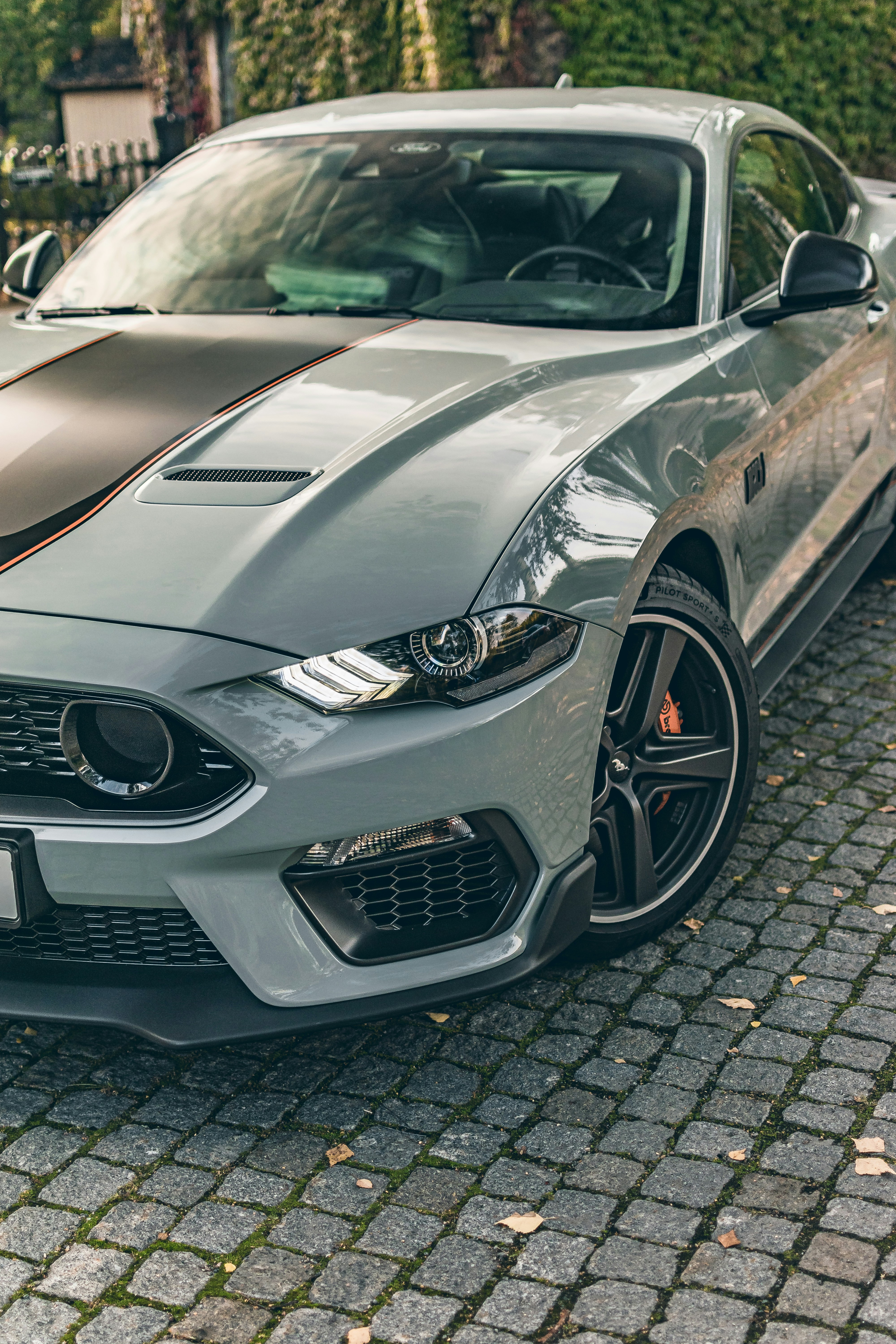 Photo by skold_anton