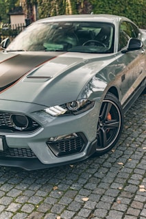 A sleek, modern sports car parked on a cobblestone street. The car features a dynamic design with a gray body and black racing stripes. The front view highlights the car's stylish headlights and grille, while the environment shows a leafy background.