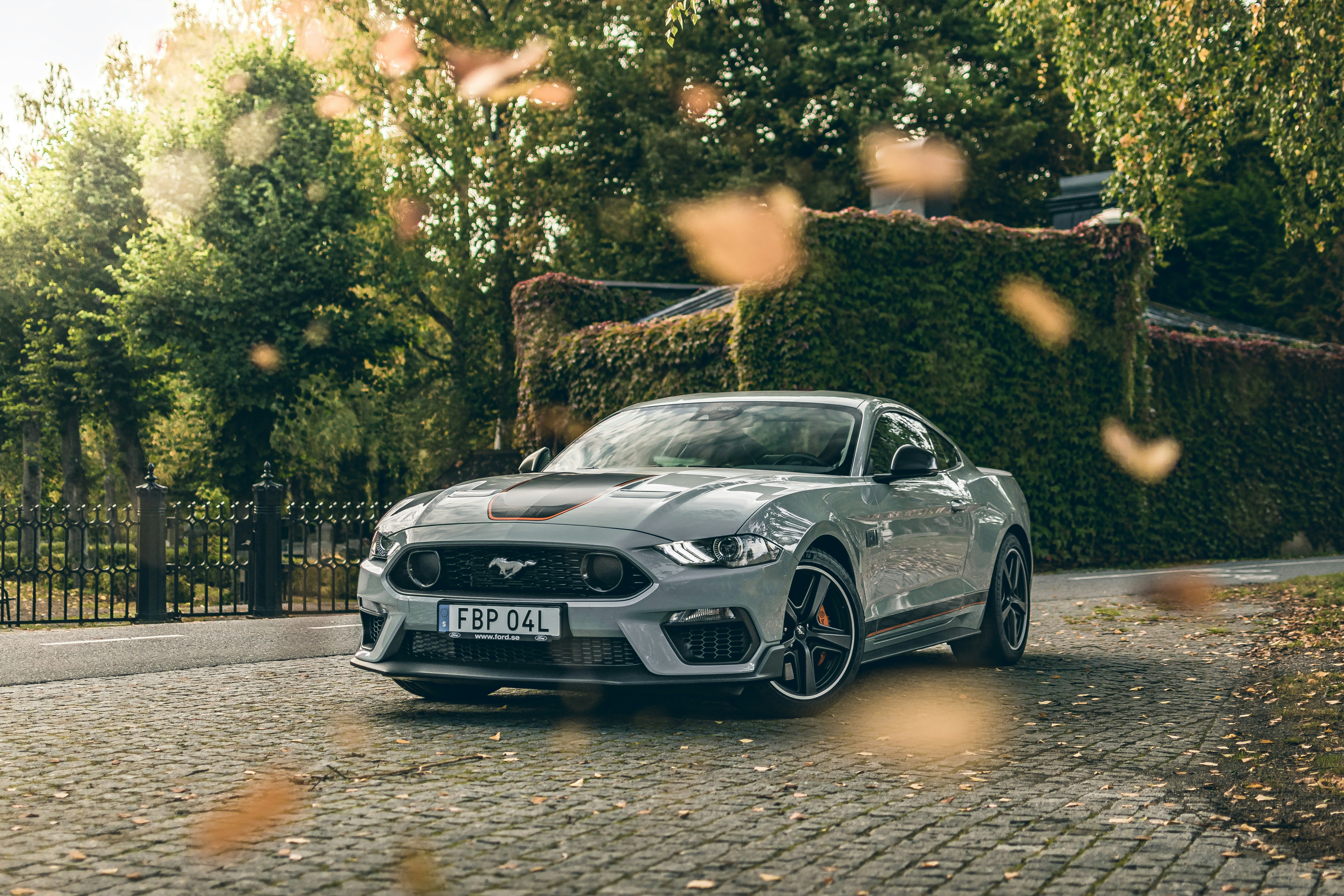 Photo by skold_anton