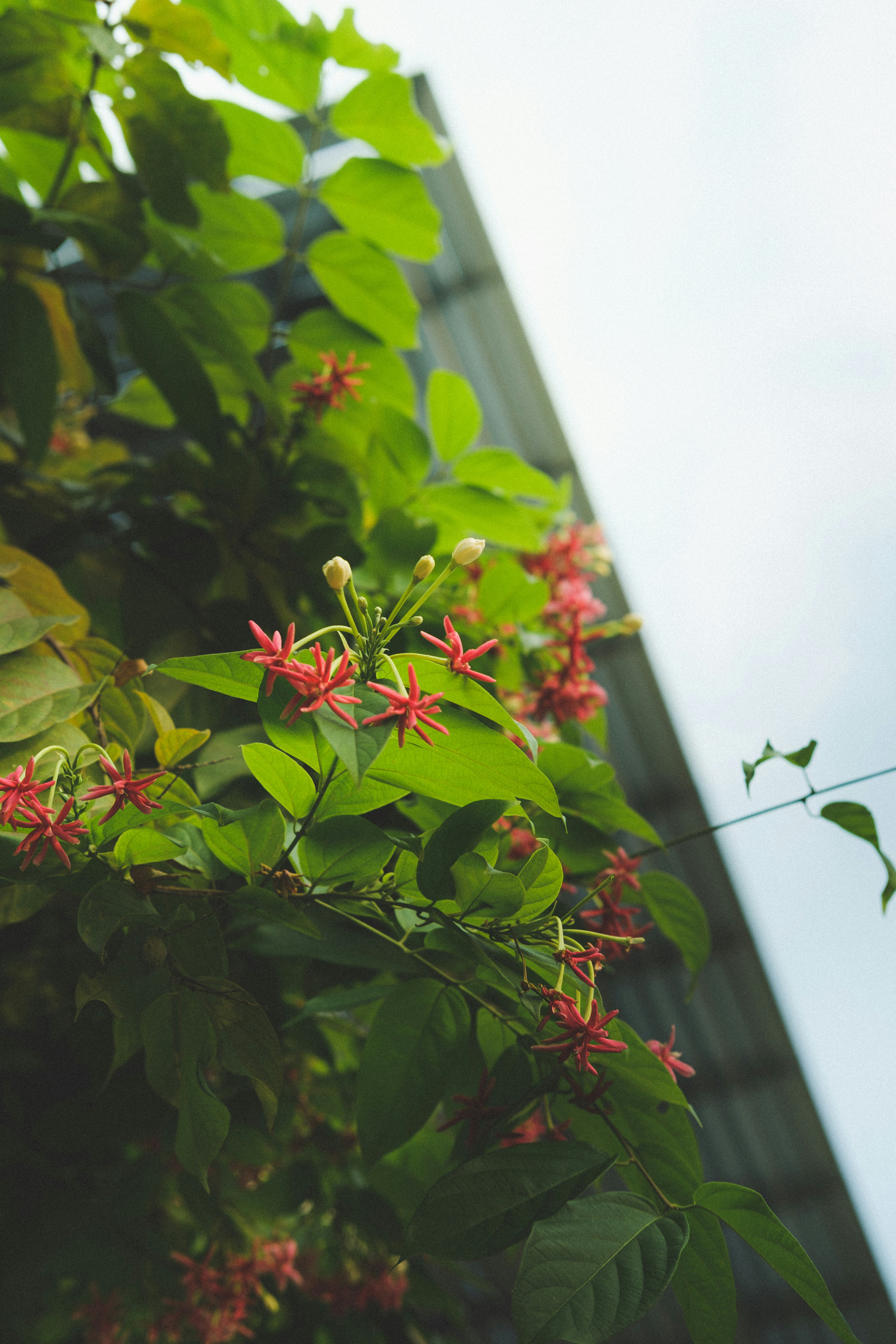Photo by hieptltb97