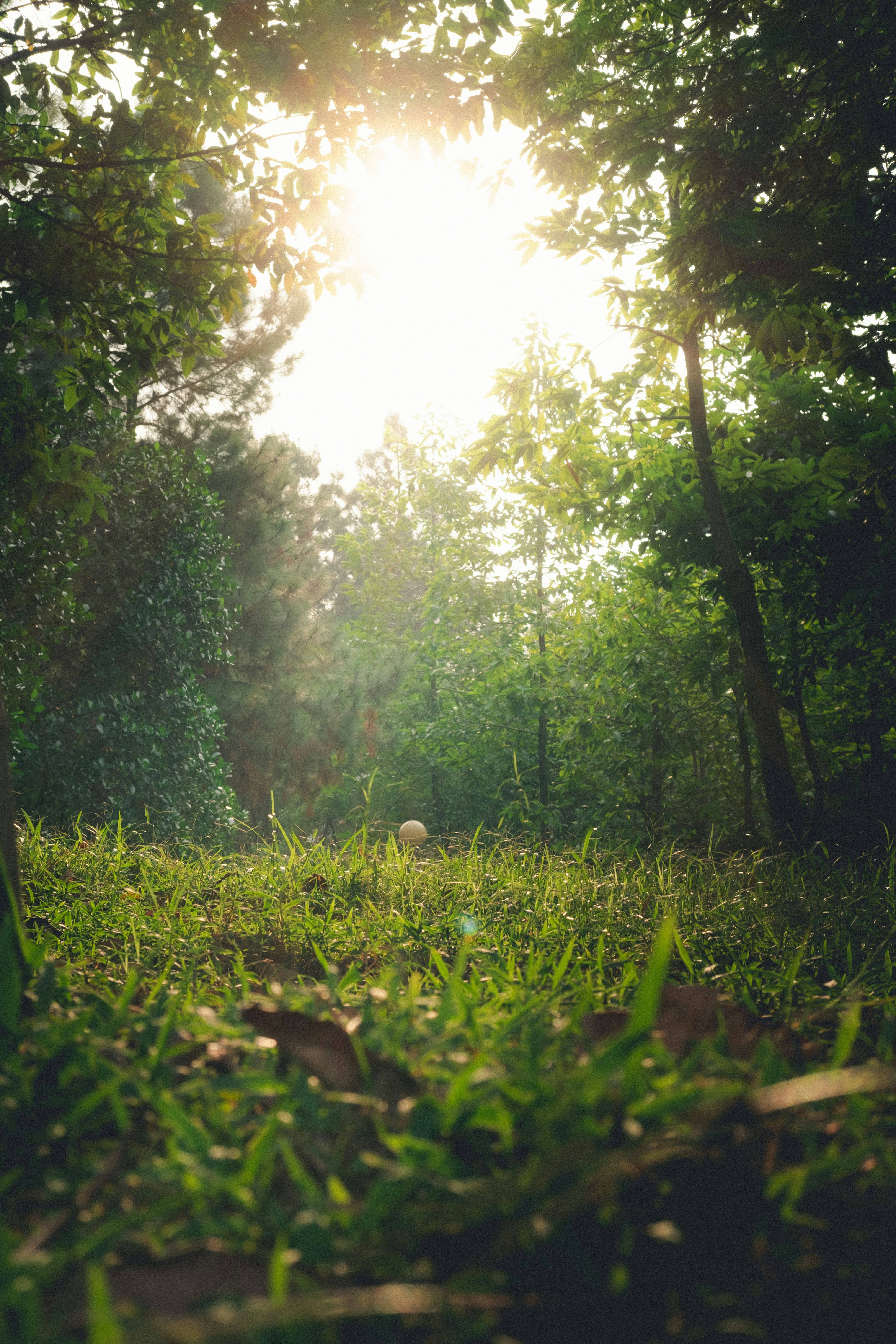Photo by hieptltb97