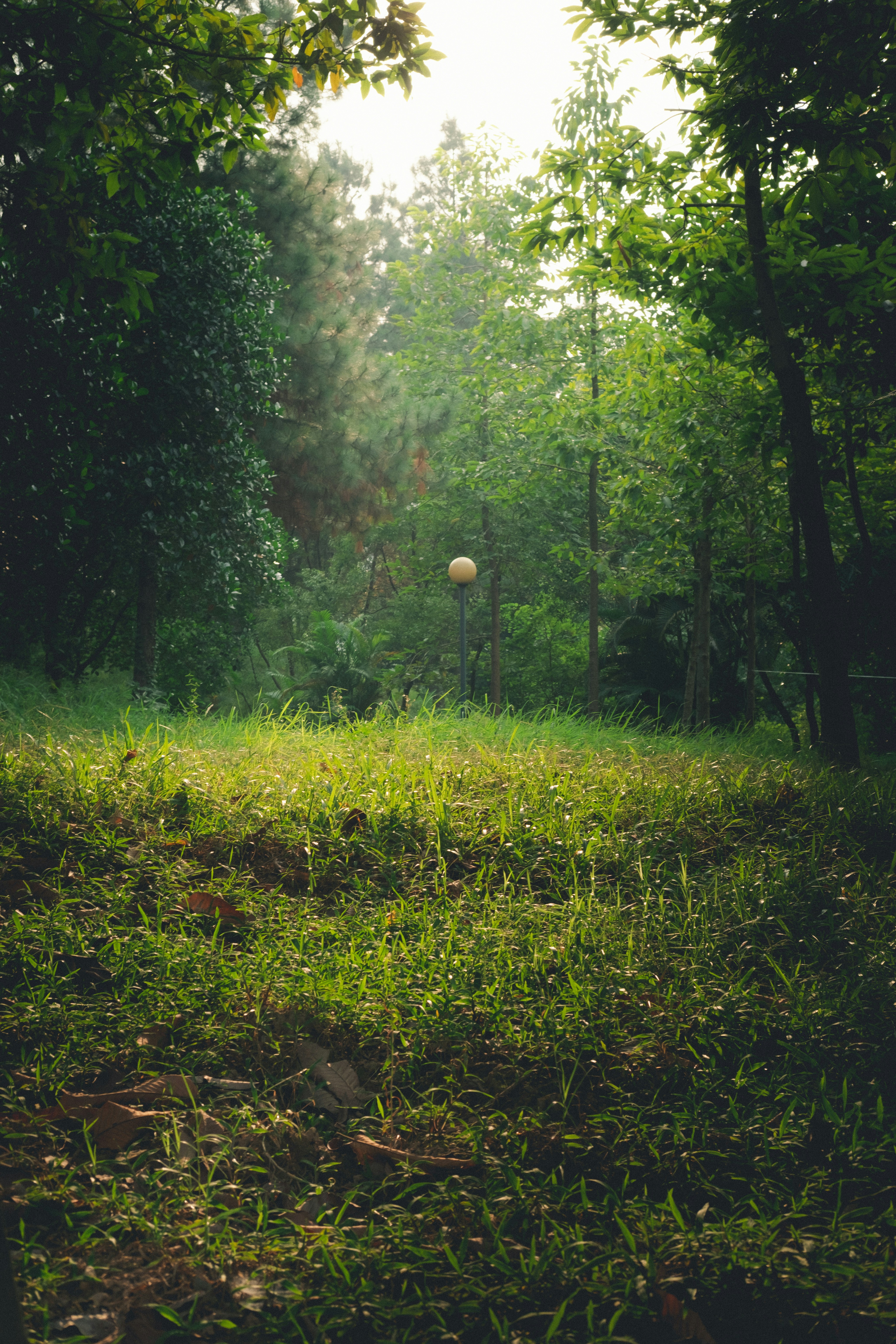 photo-1667145551143-201e4a181063?ixid=M3wxMjA3fDB8MXxzZWFyY2h8Mnx8JUUwJUI5JTgxJUUwJUI4JTk3JUUwJUI4JTg3JUUwJUI4JTlBJUUwJUI4JUFEJUUwJUI4JUE1fGVufDB8fHx8MTc2Njc1OTAxN3ww\u0026ixlib=rb-4.1.0