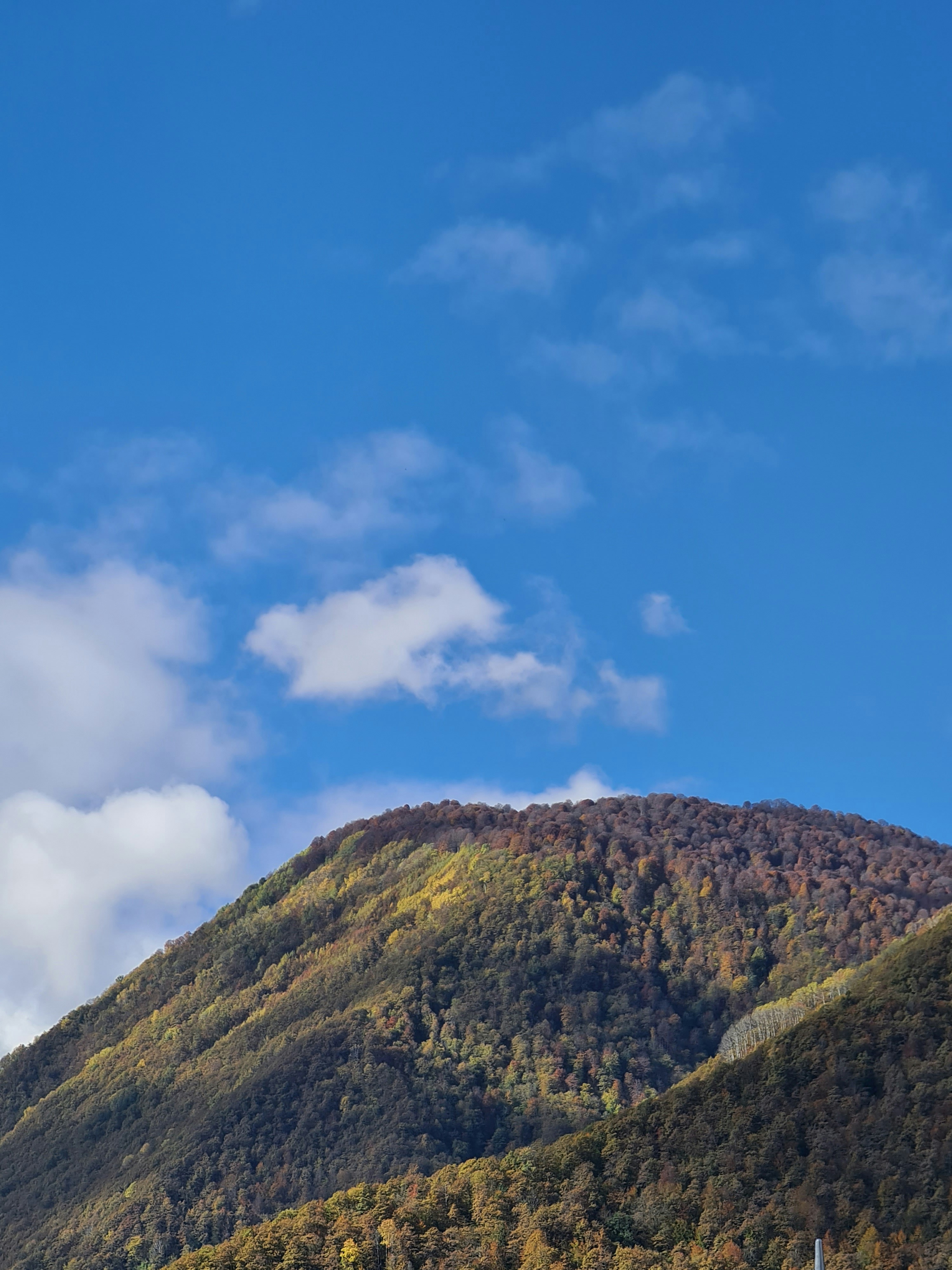 Photo by howdareyoujane