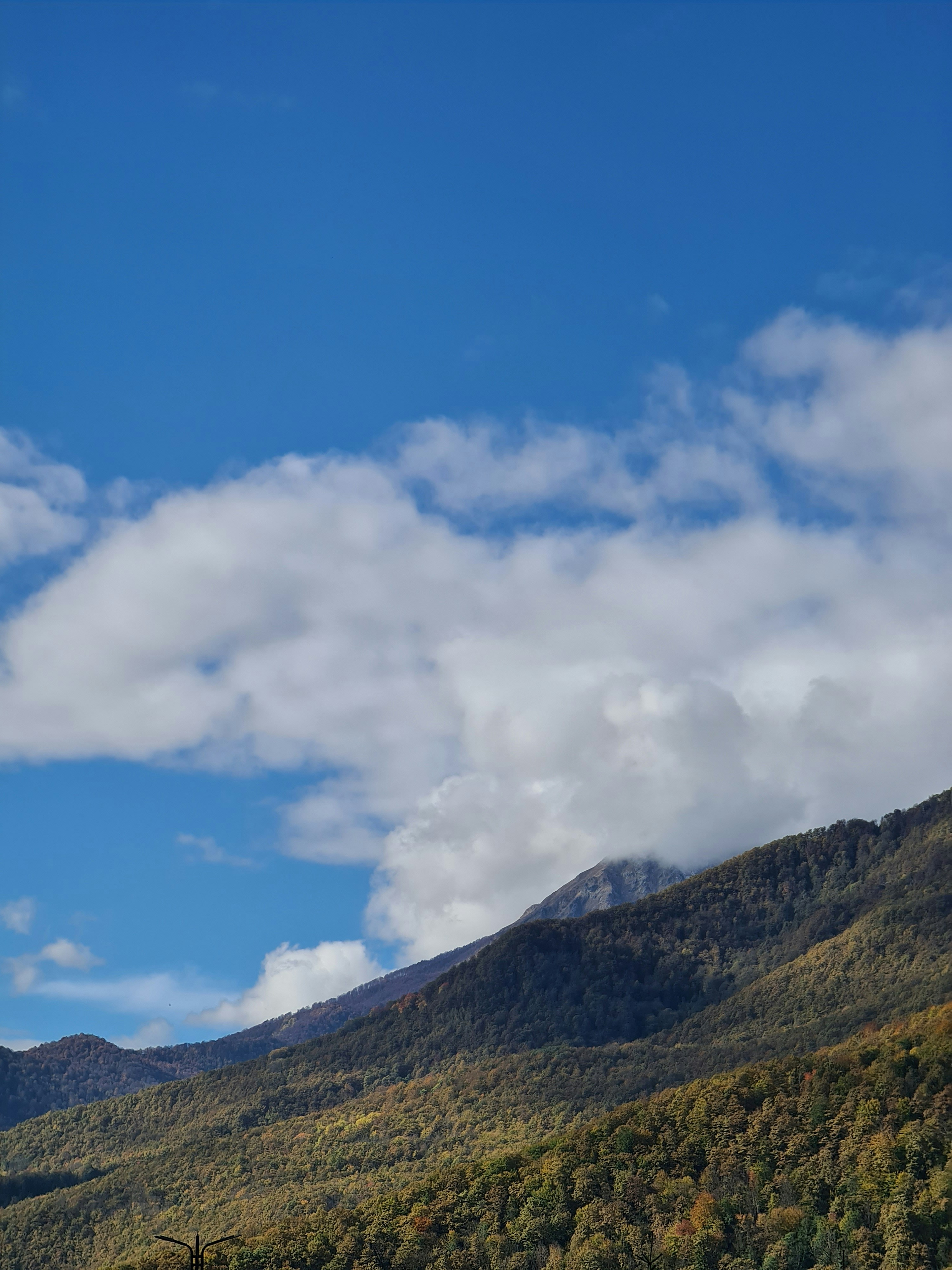 Photo by howdareyoujane