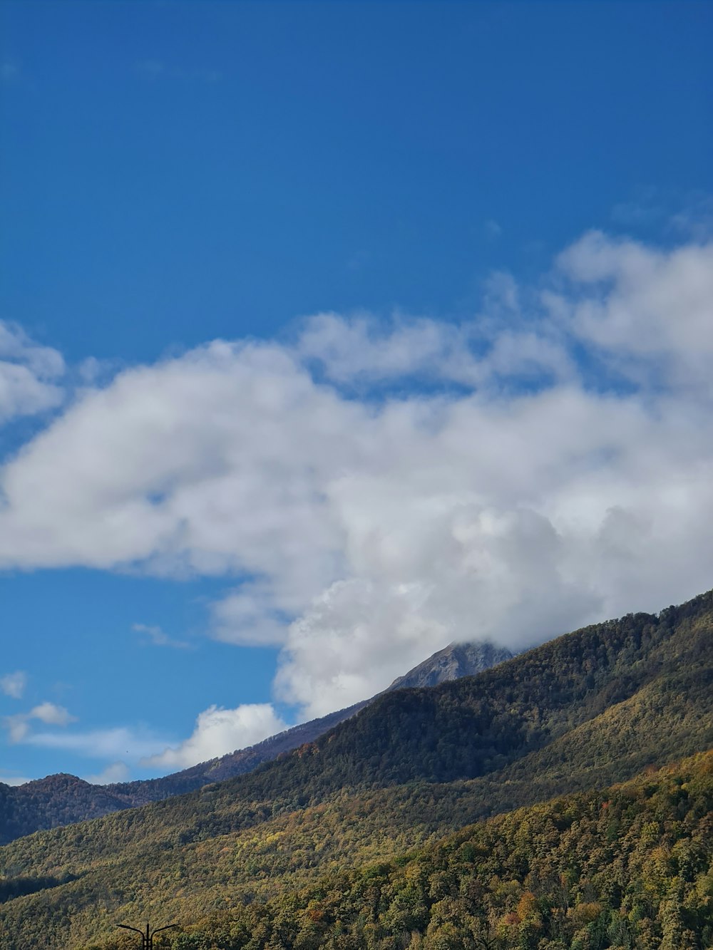 a mountain with trees and clouds