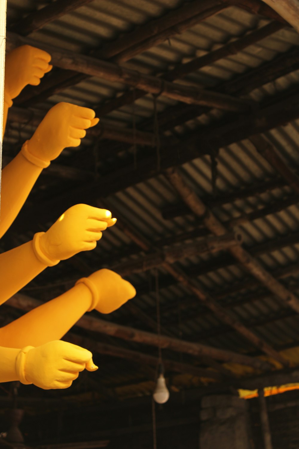 a close-up of hands holding a light bulb