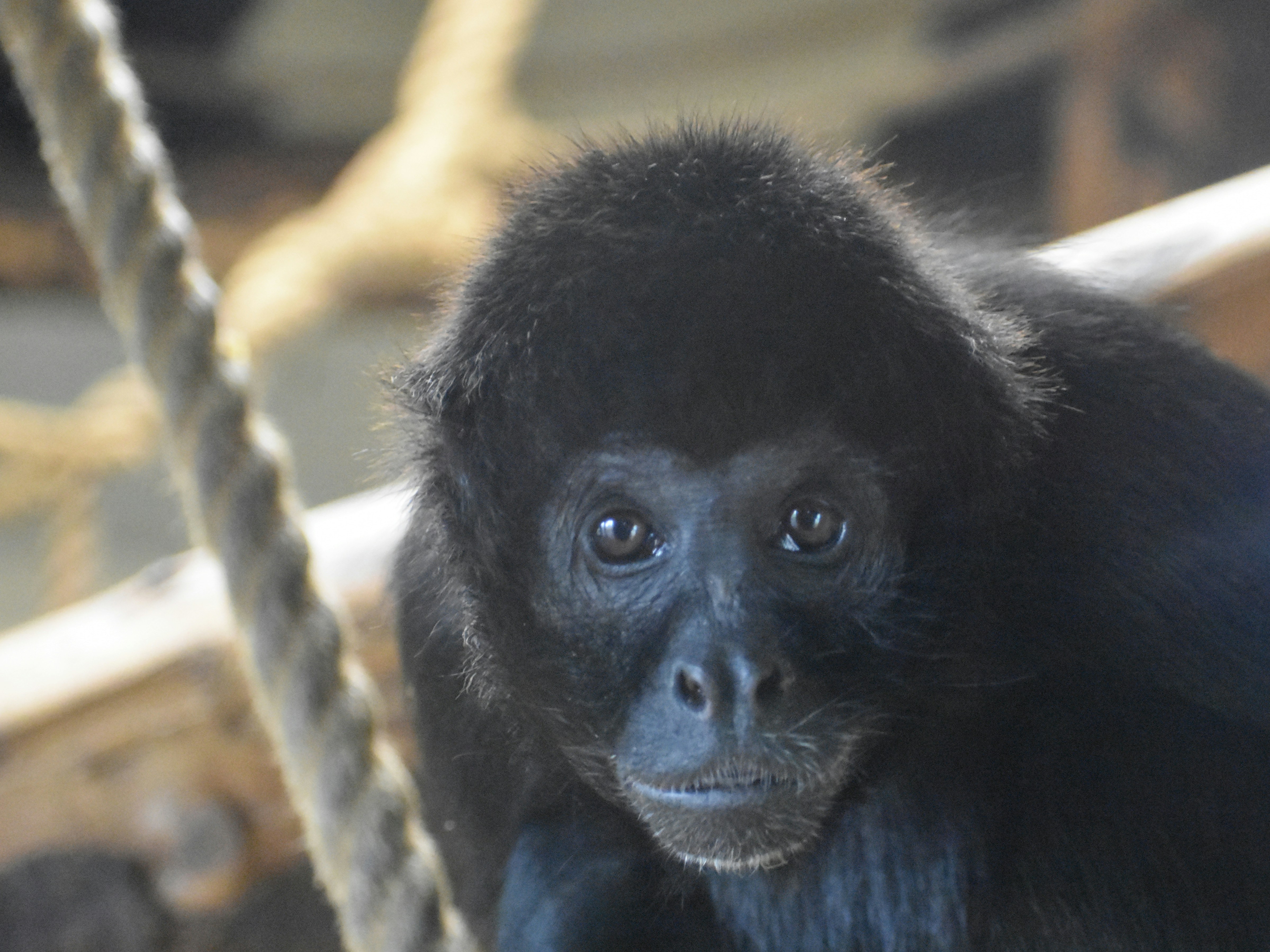 Photo by andrew_hall