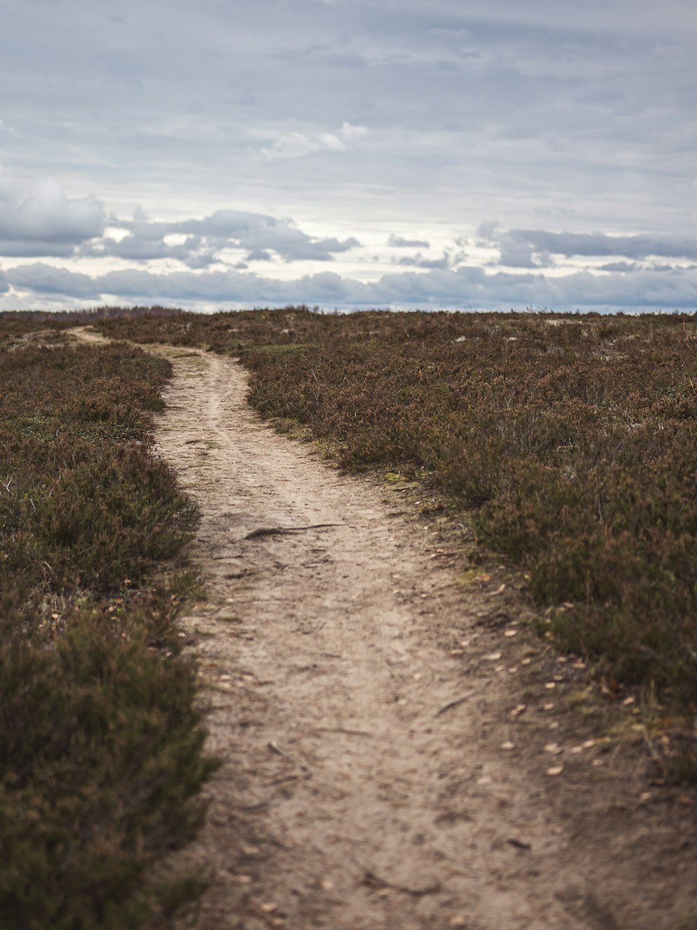 a dirt road in a field