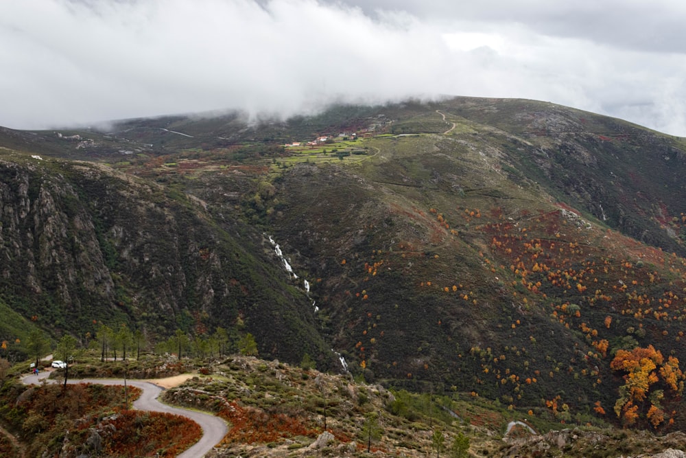 a landscape with a road and trees