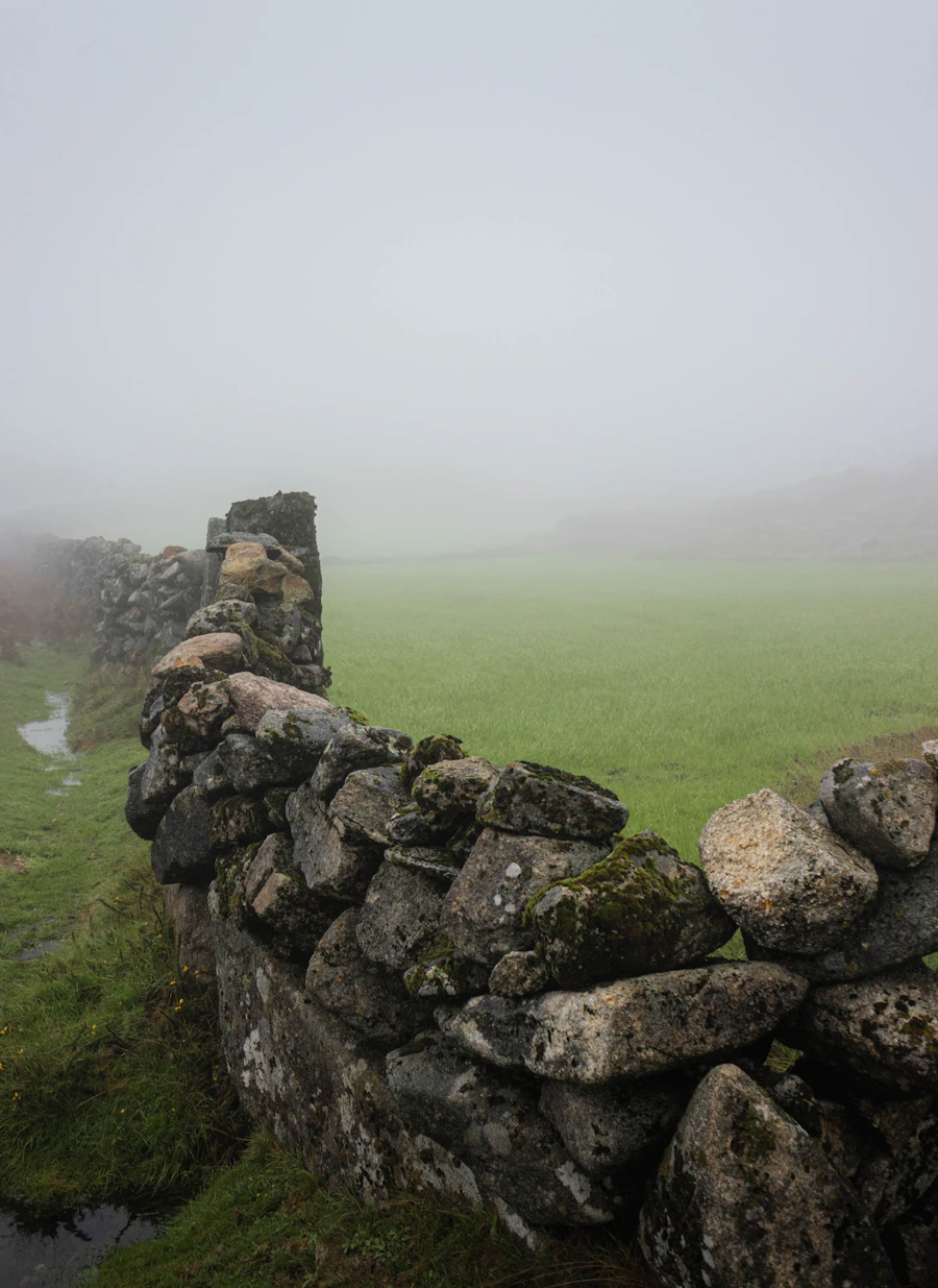Old dry-stone wall running across a misty green paddock