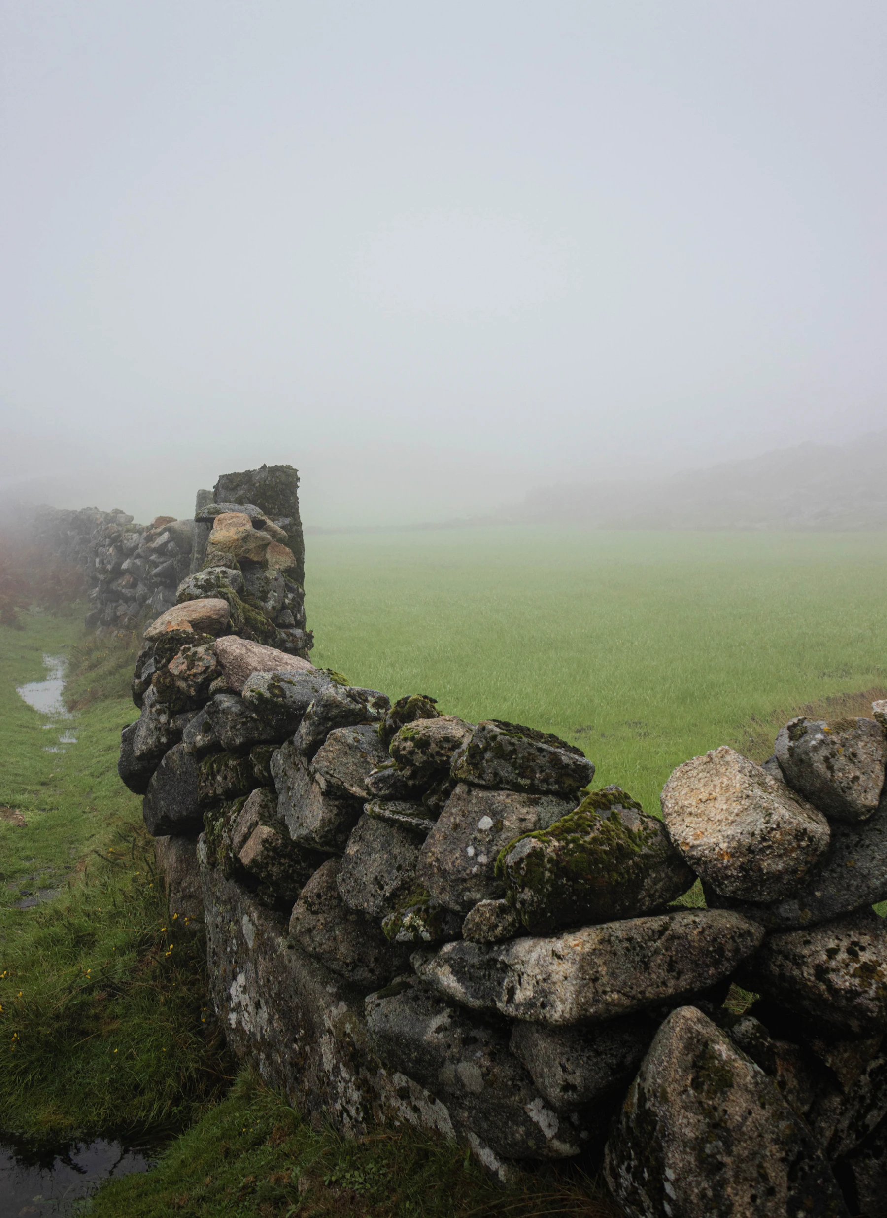A dry stone wall running across a green pasture and fading into fog