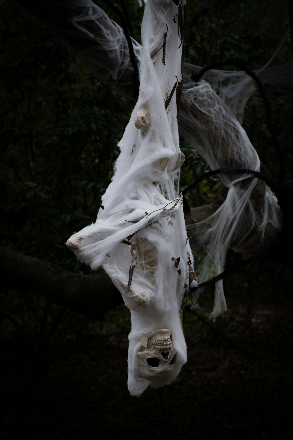 Eine weiße Pferdemaske von einem Baum