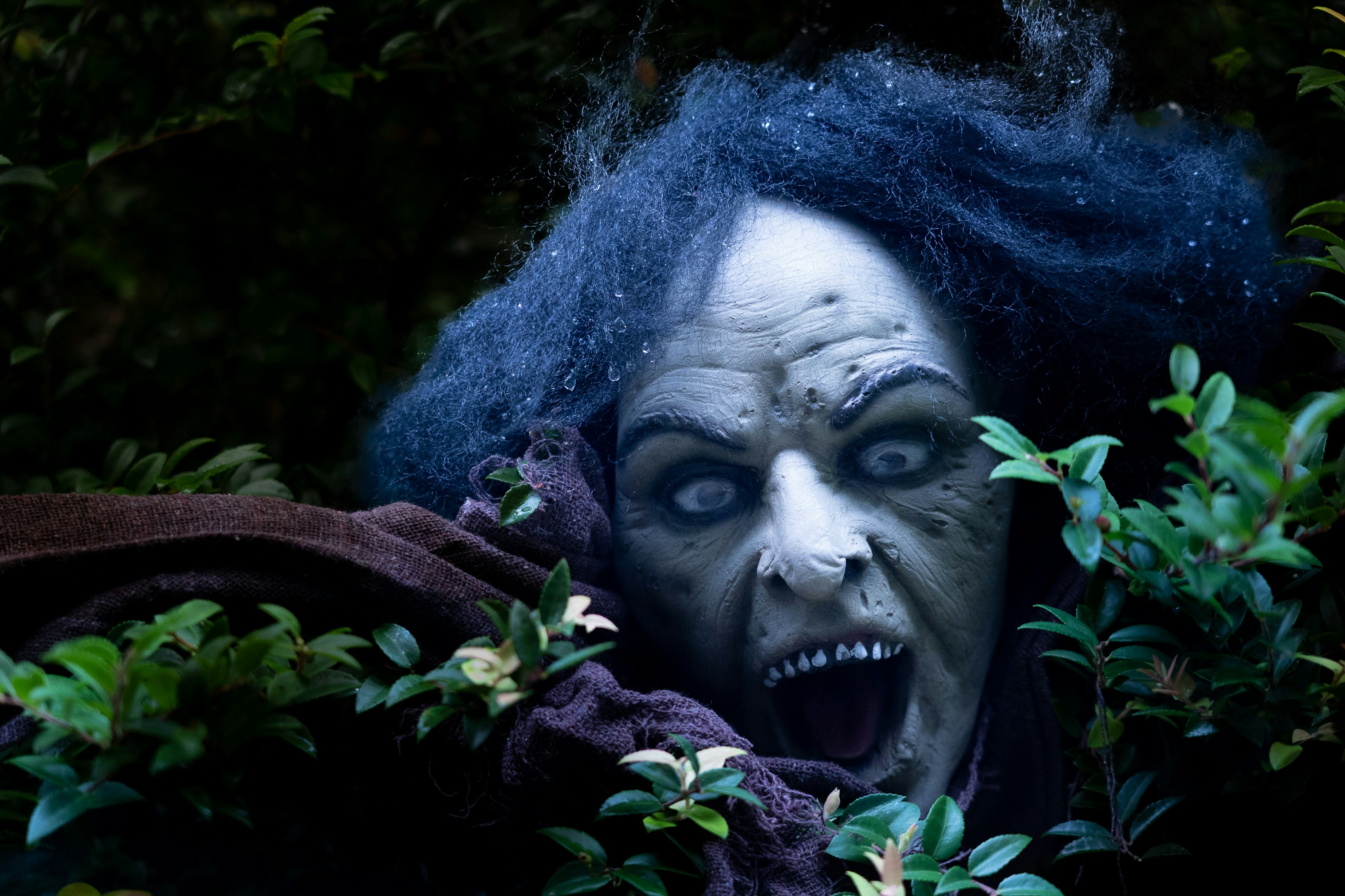 Photo by jannerboy62