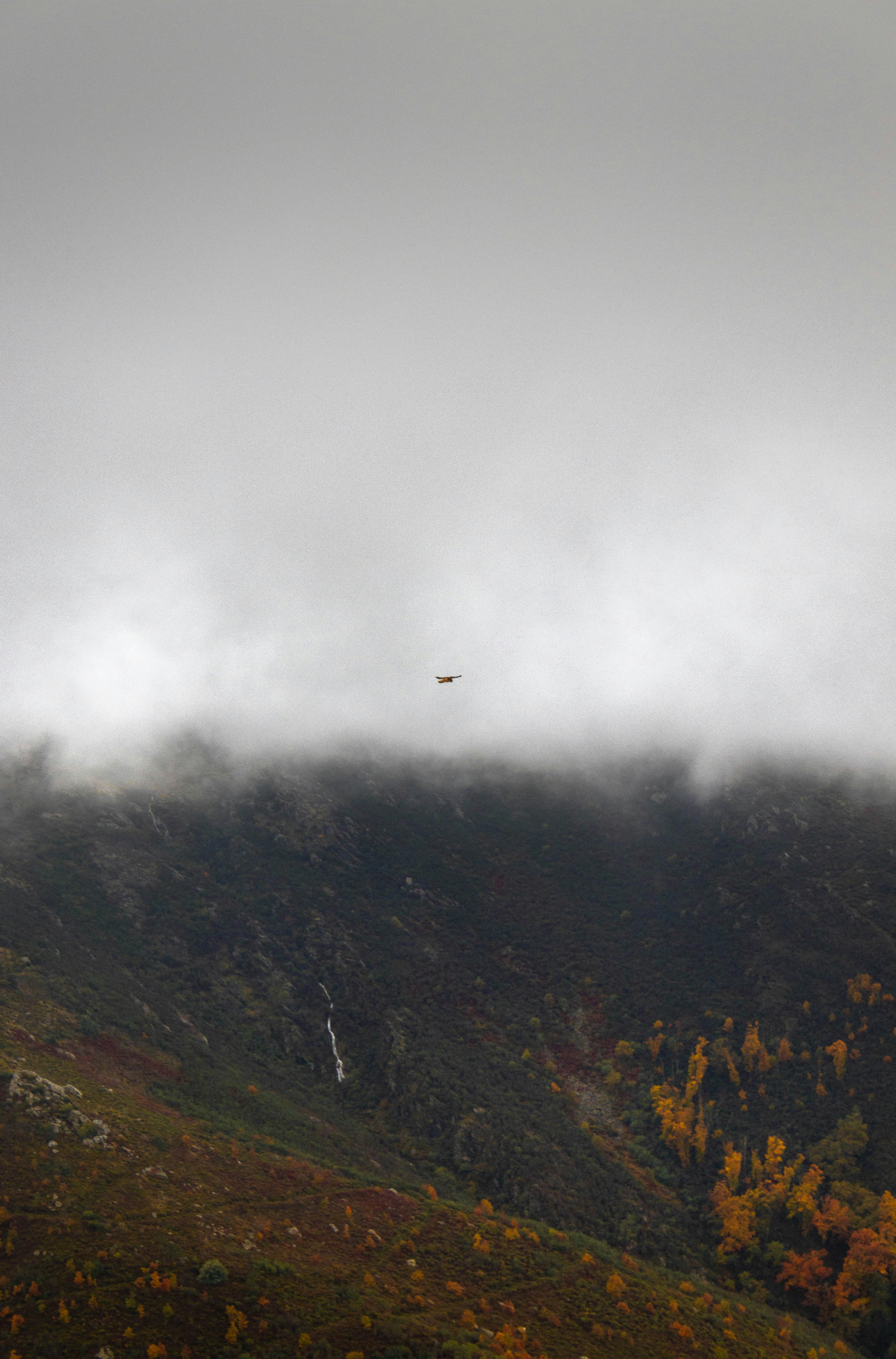 a helicopter flying over a mountain
