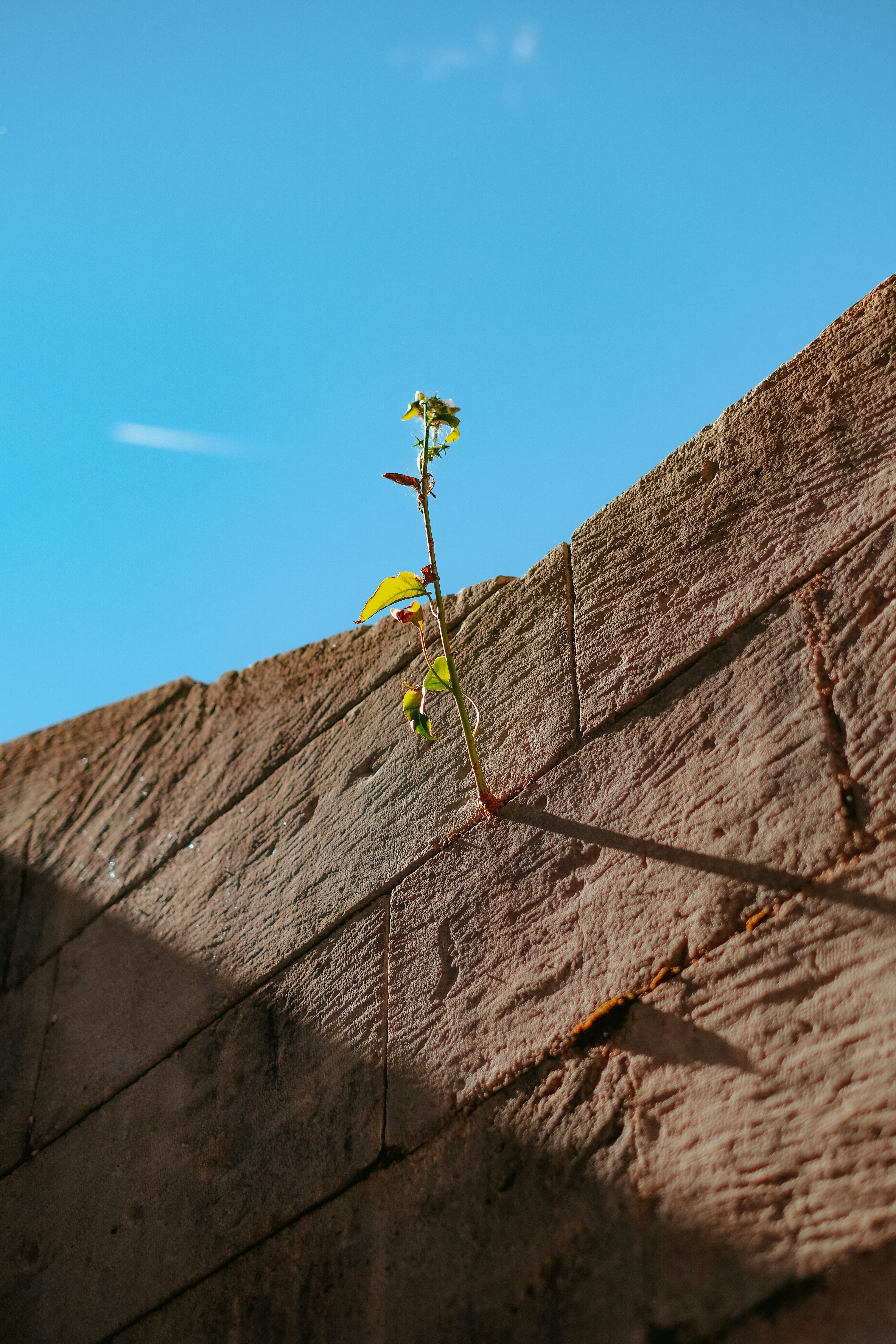 10 Connection Growth Advice Tips for Setting Healthy Boundaries