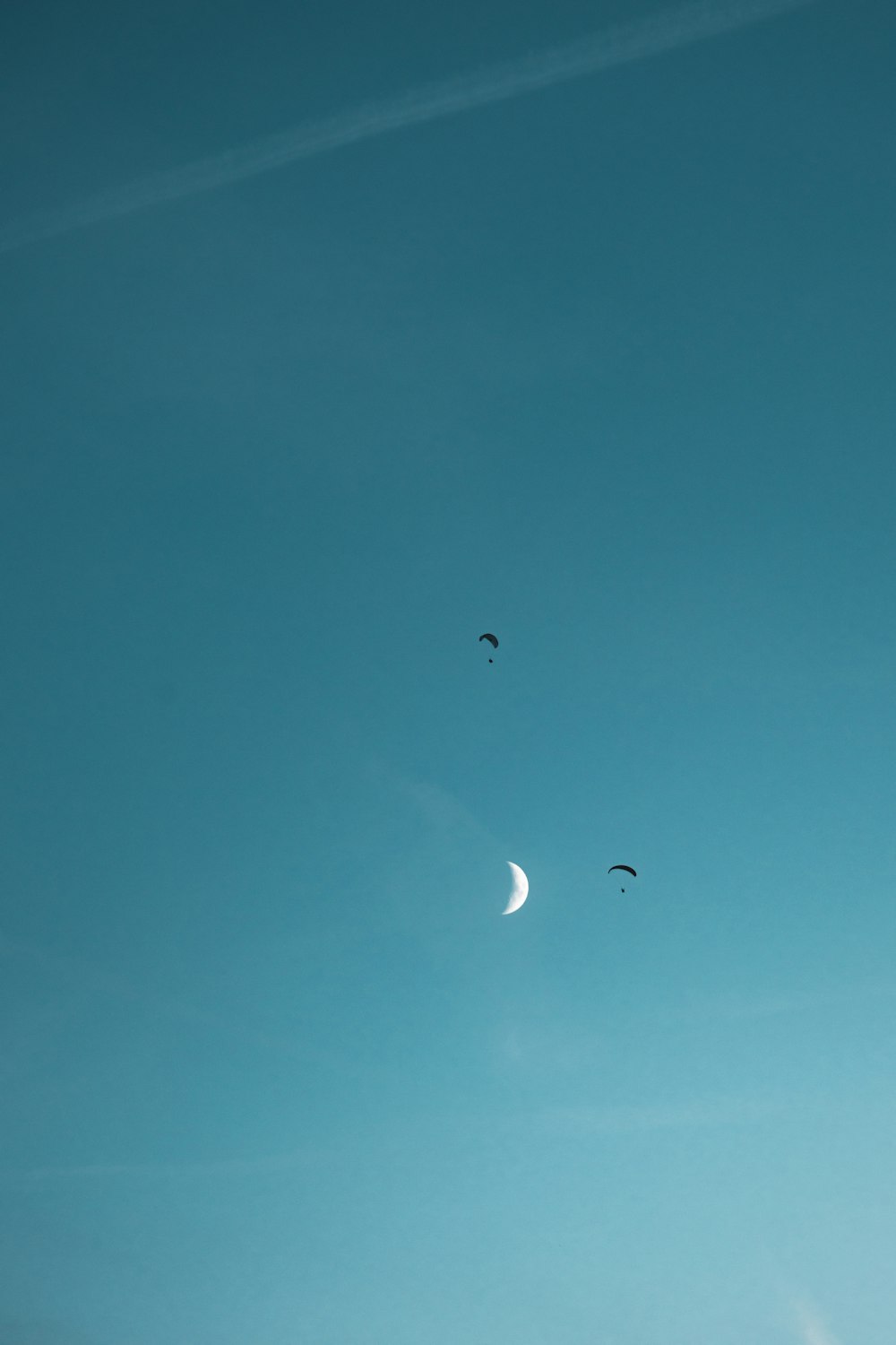 Un gruppo di uccelli che volano nel cielo