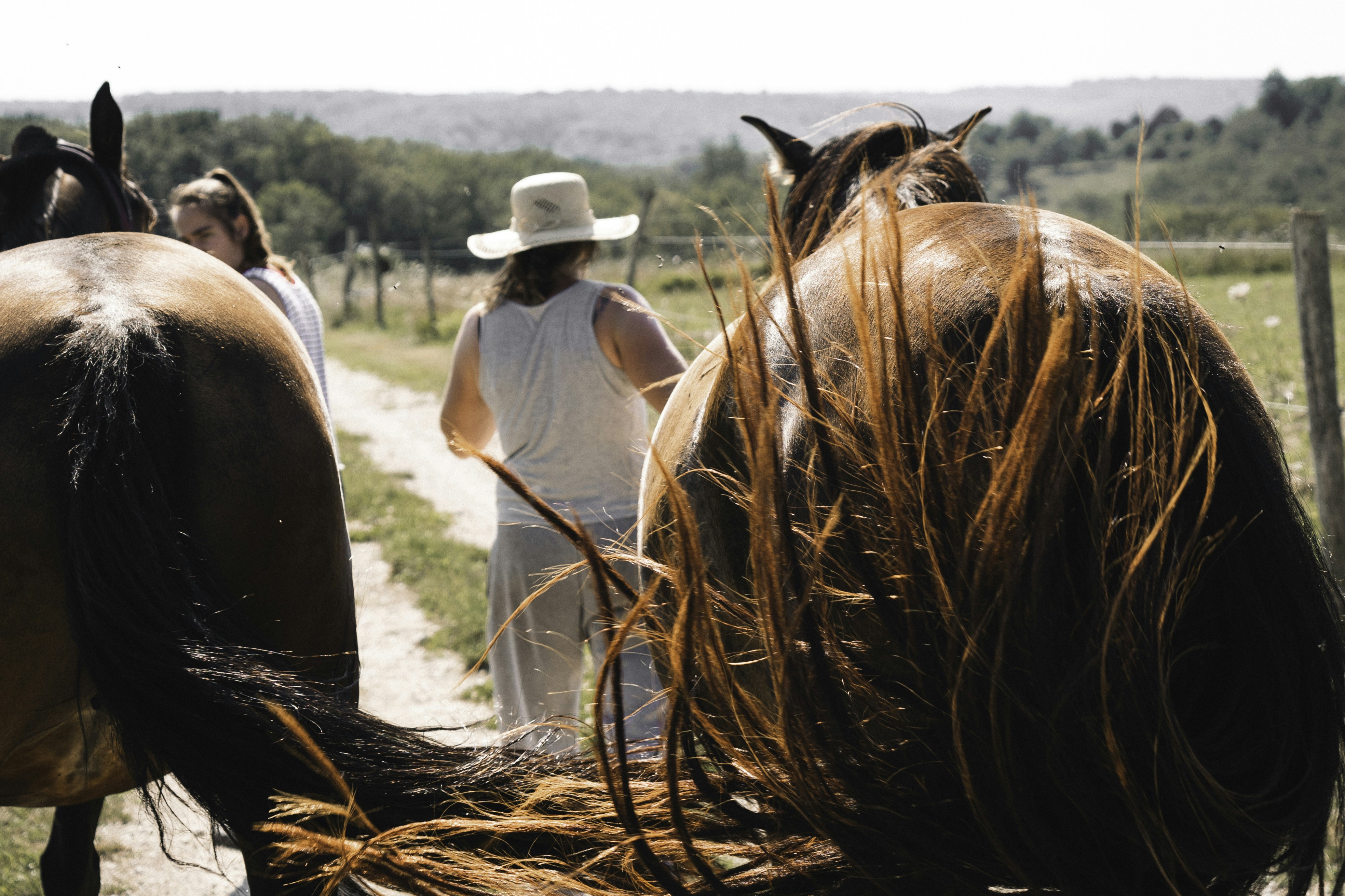 7 Culinary Travel Guides Featuring Indigenous Farming Practices