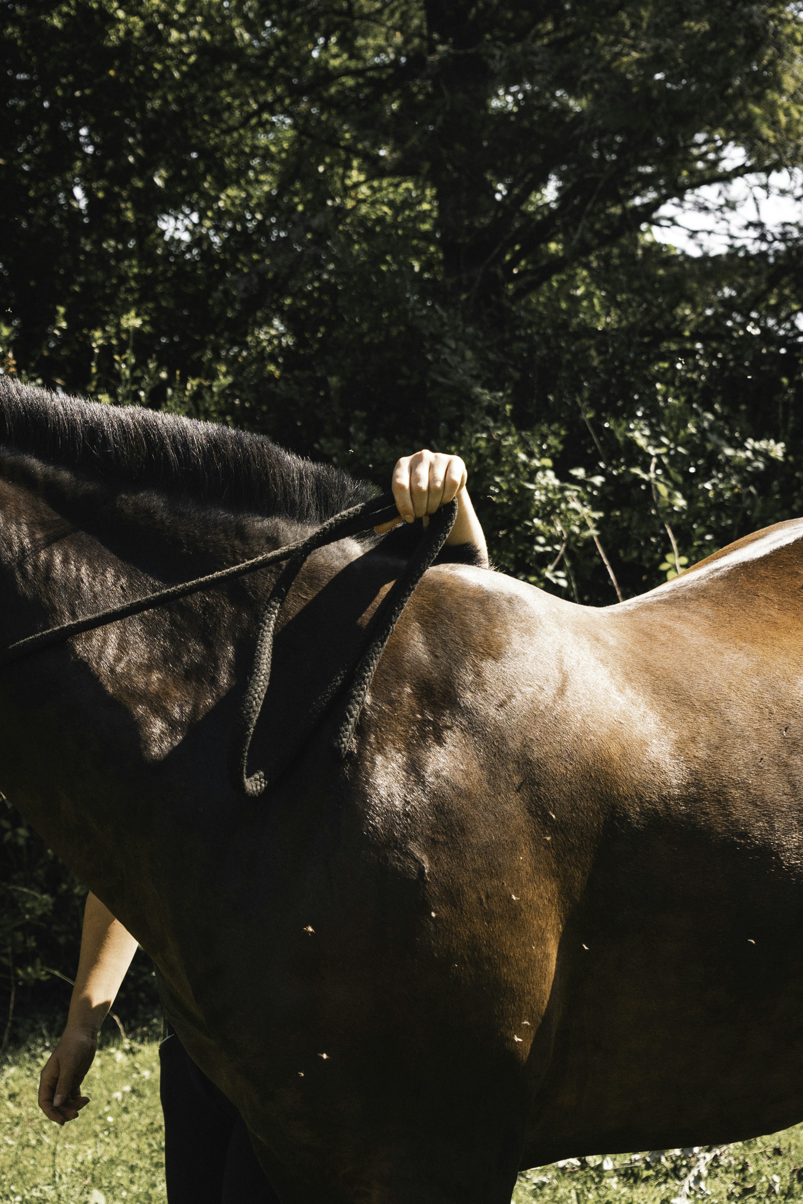 Photo by francescafrann