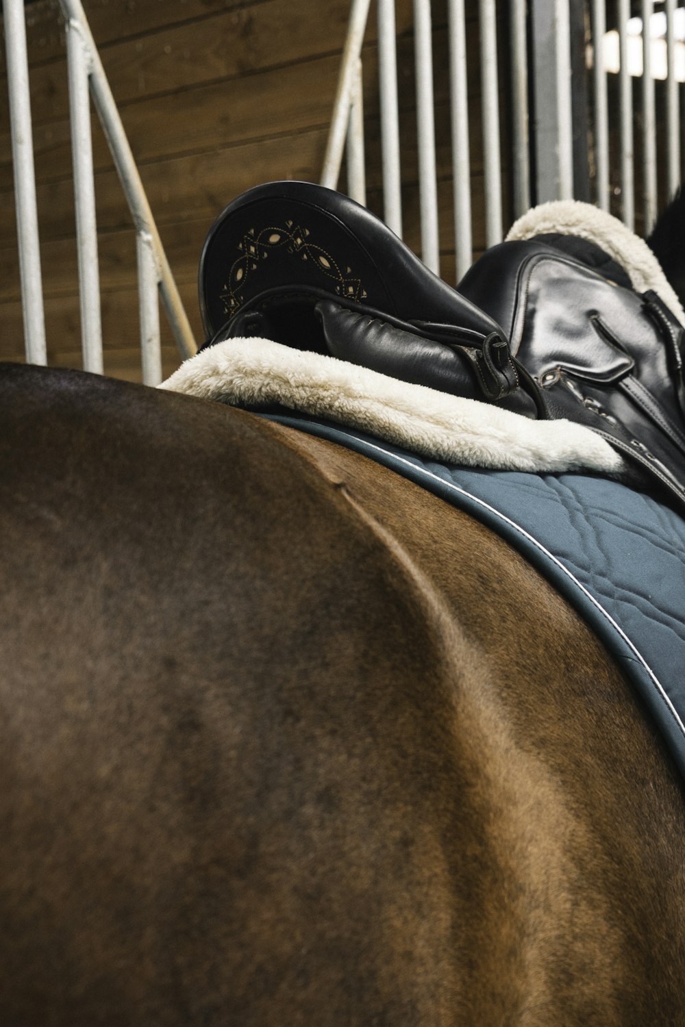 a pair of black shoes on a brown horse