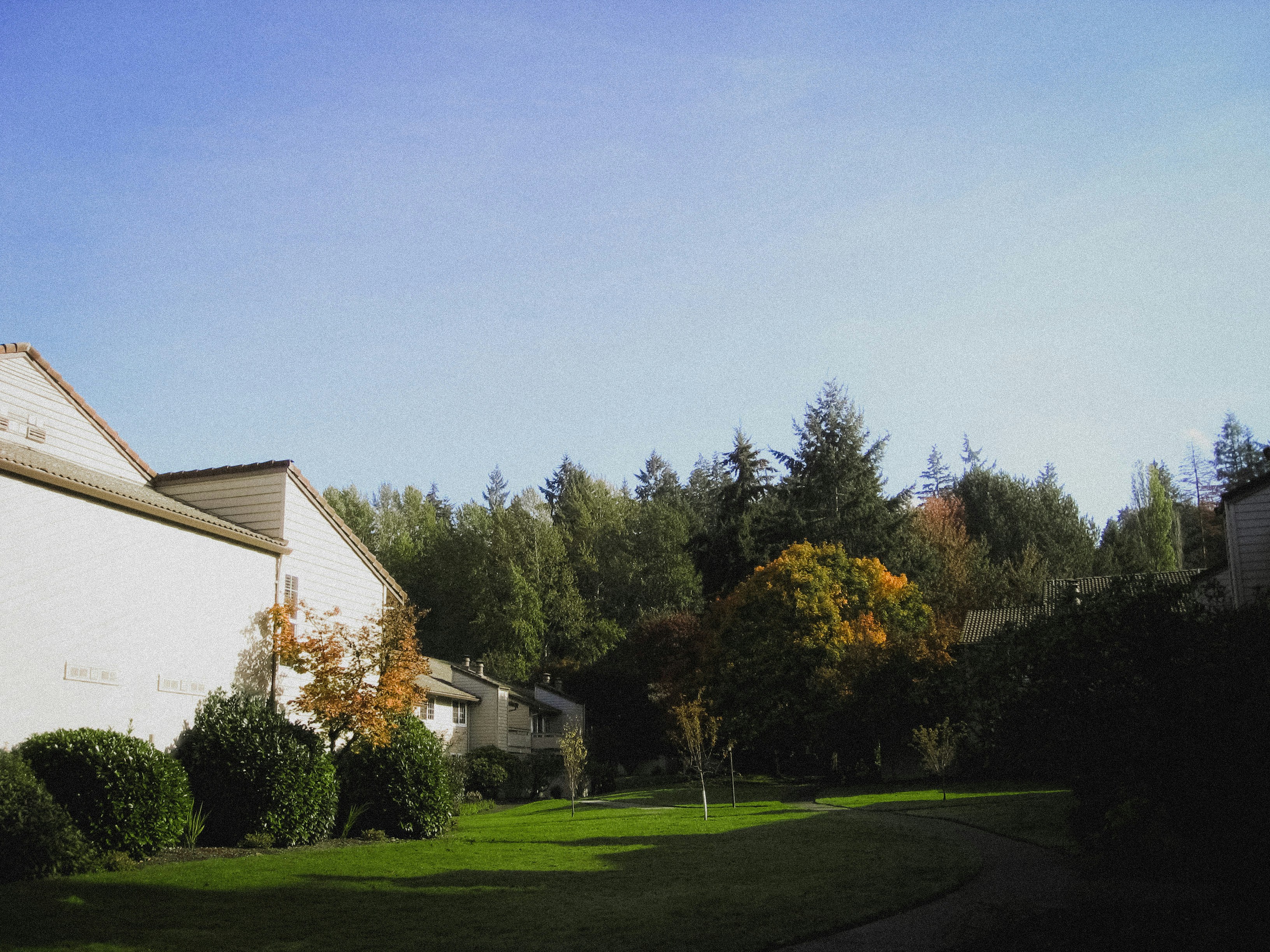 Photo by duncan_shaffer