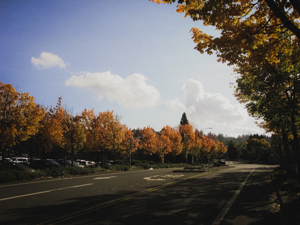 un parcheggio con alberi intorno