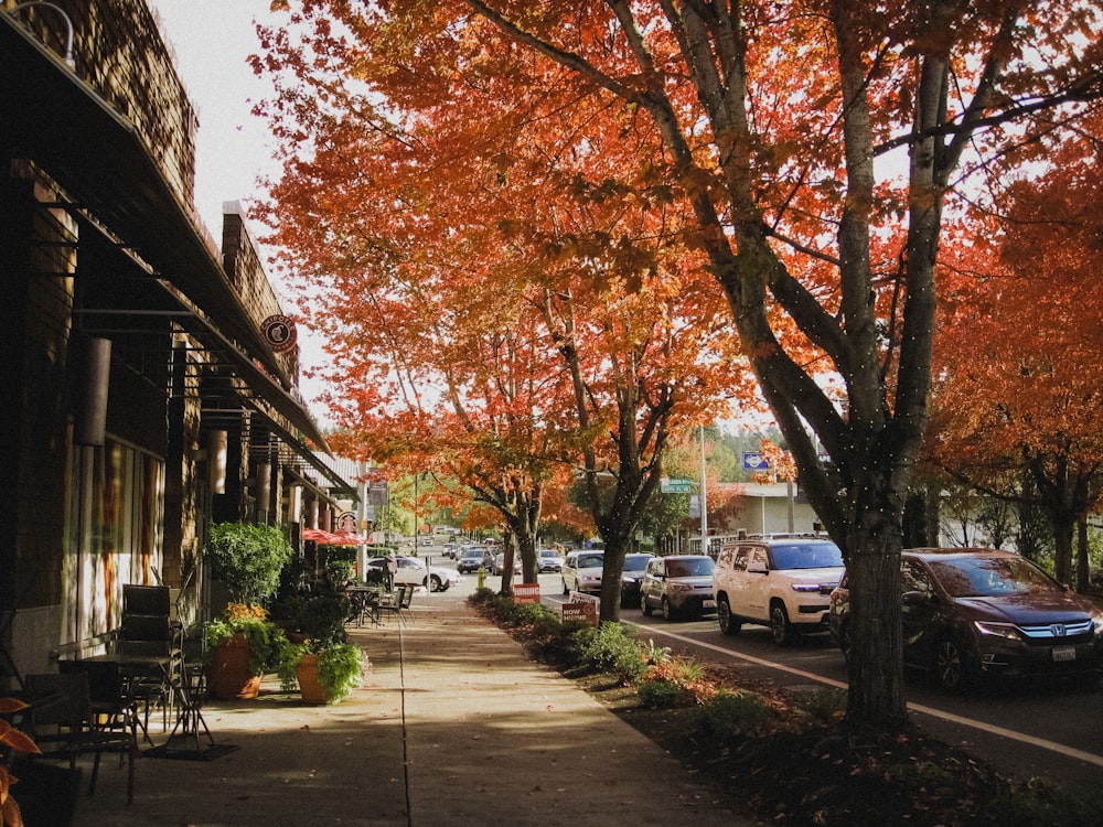 a sidewalk with cars parked on the side and trees on the side