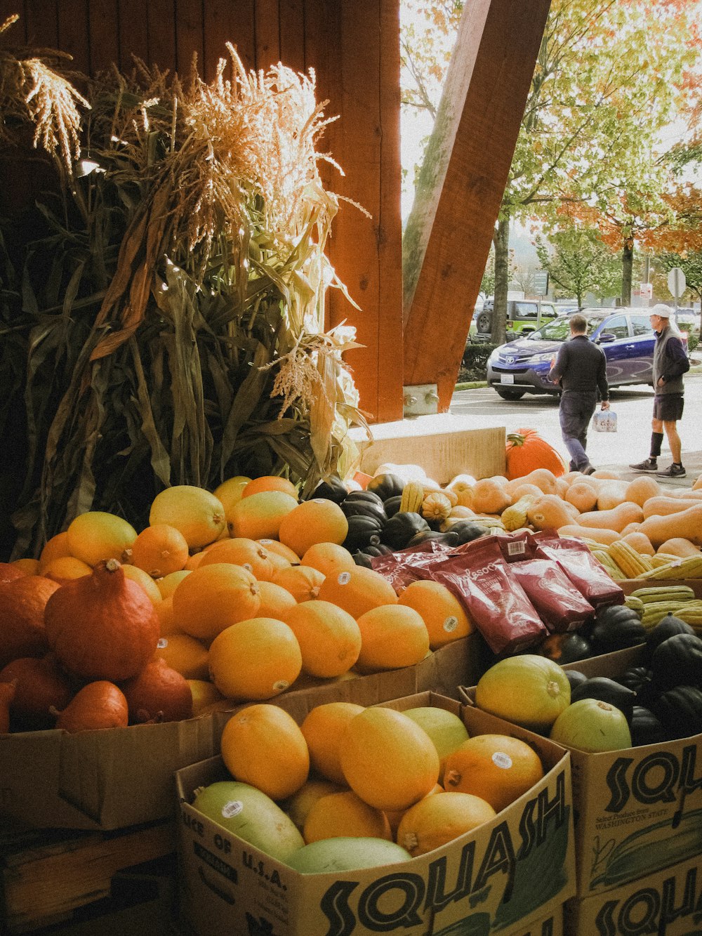 a bunch of oranges in boxes