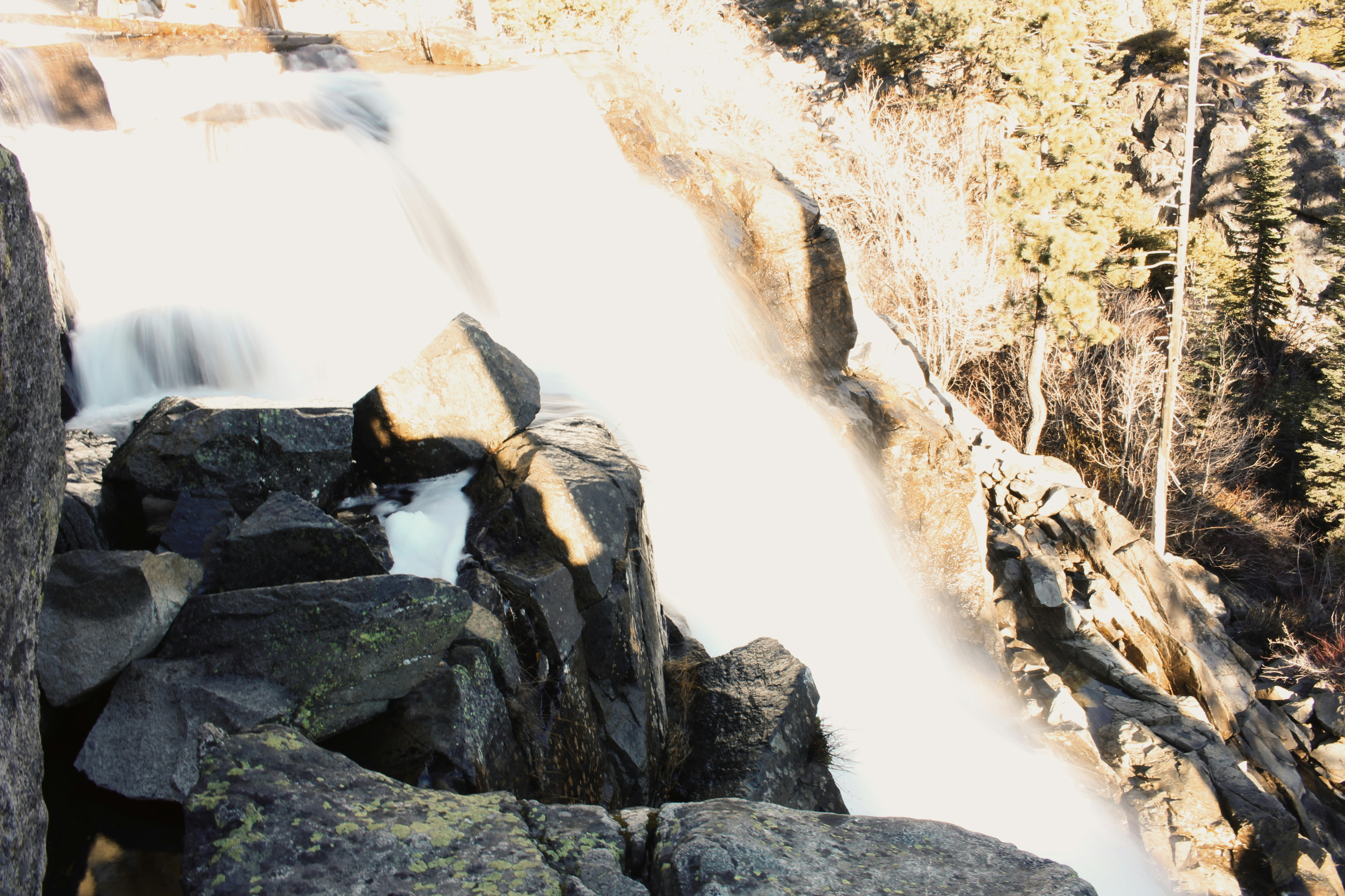 Photo by elijahaustin