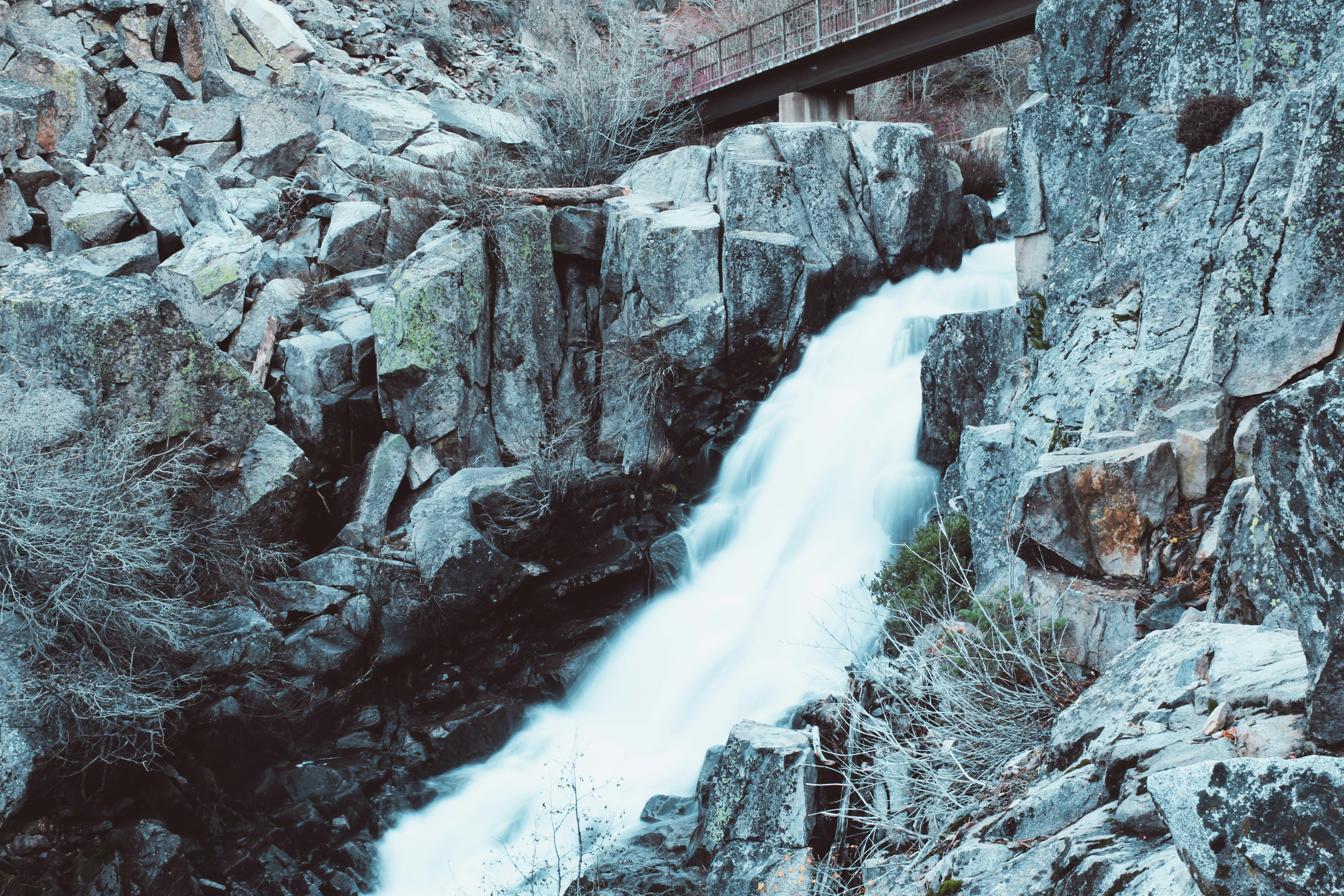 Photo by elijahaustin